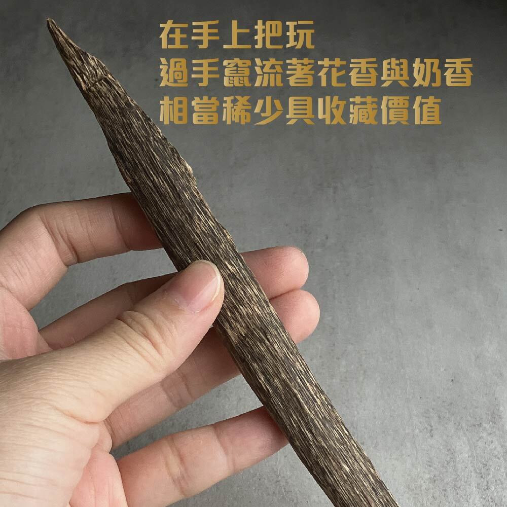 汶萊黑棋楠(黑1-2)-06