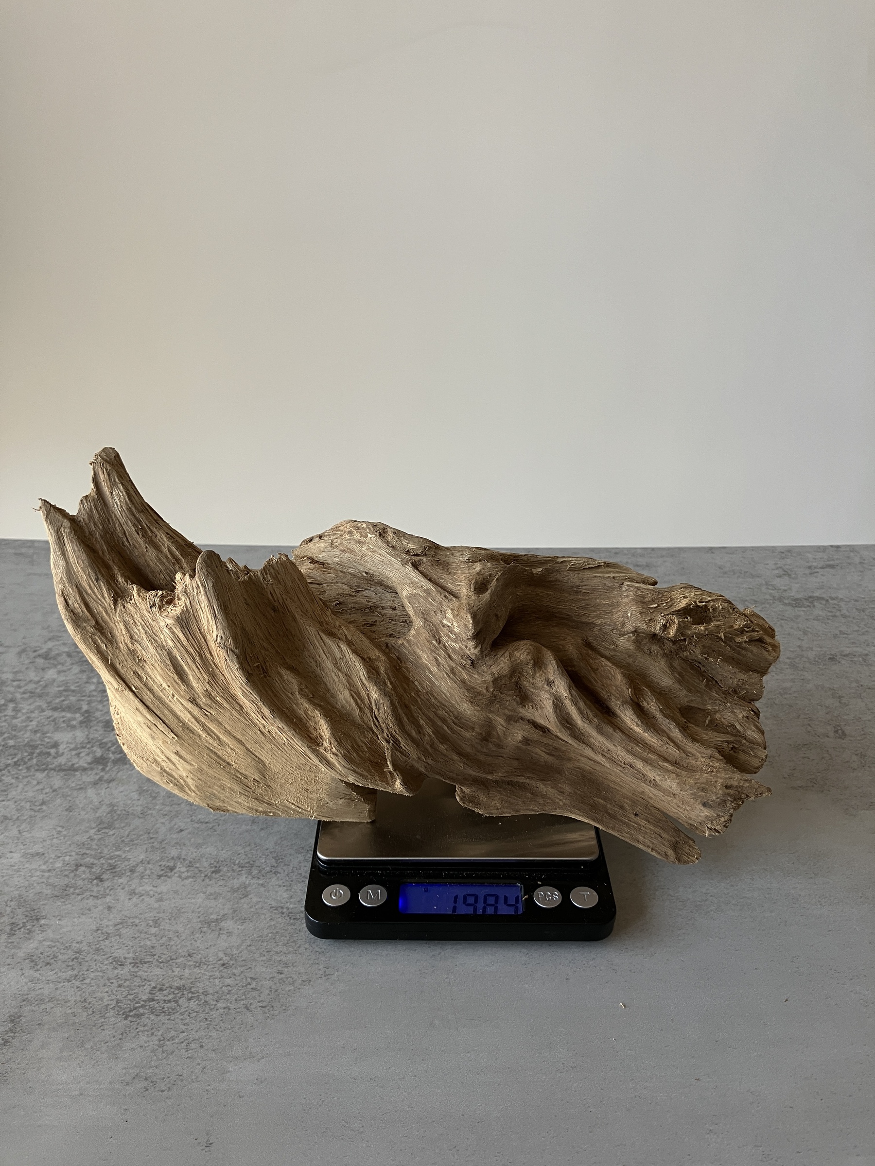 image_A4A60F47-0B26-4344-94F5-F1094AAAF5C0_1751272653