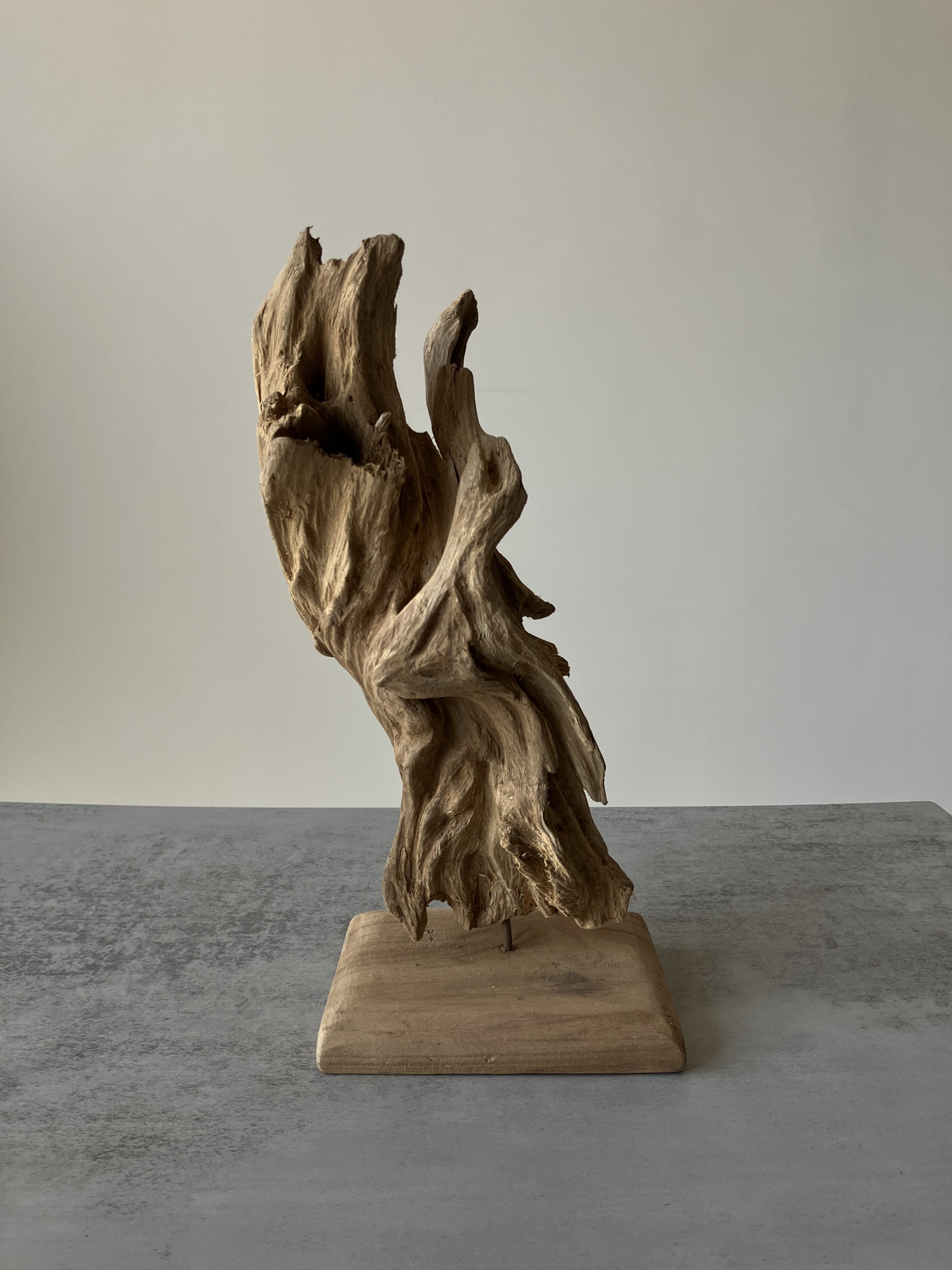 image_076FA1B0-FEA0-400D-843D-A2F4D6C04DAC_1751272653