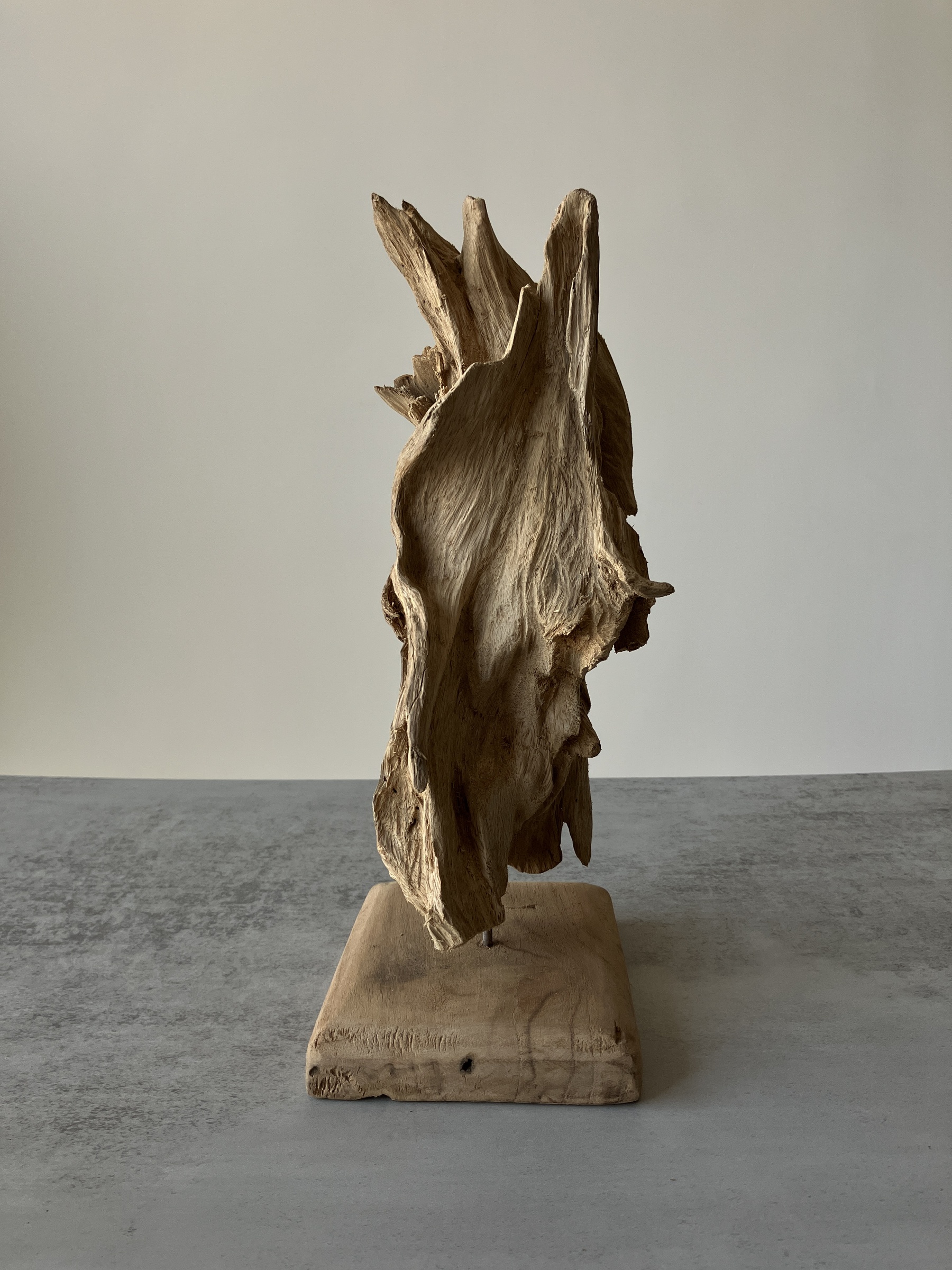 image_9E080B40-DE9E-4A8D-A328-90DFCF32EF00_1751272653