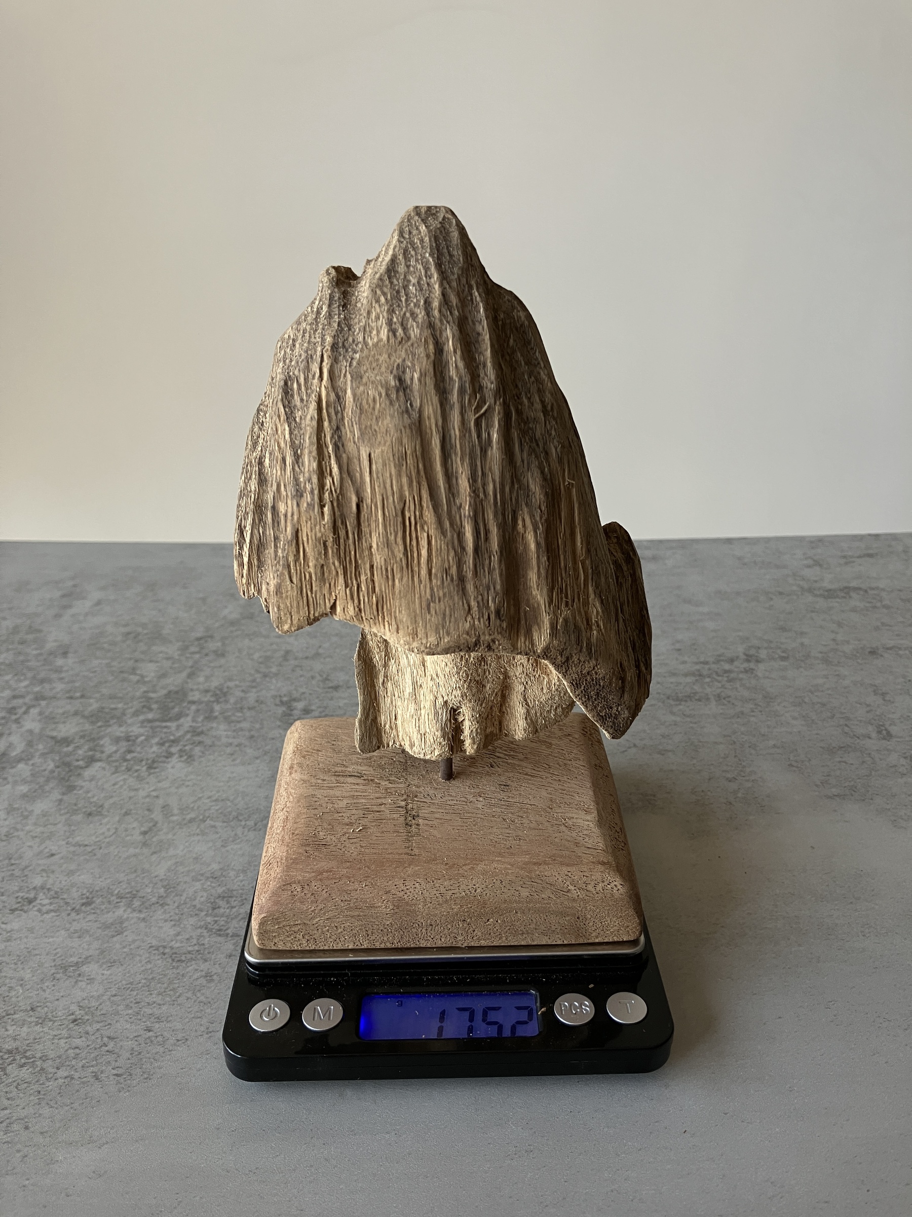 image_61CD40C1-02AE-4FCA-9423-D2CE419914FD_1751273962