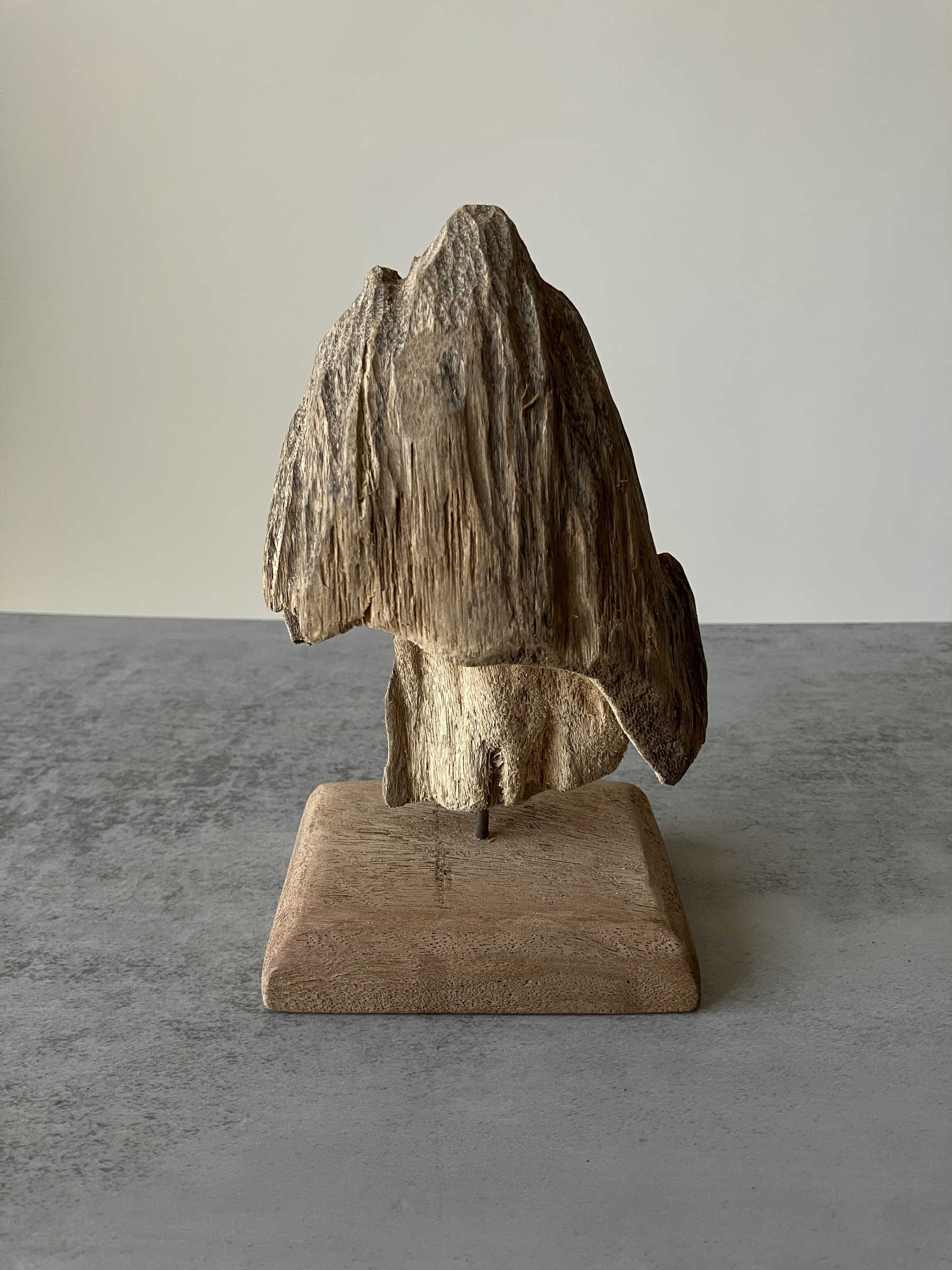 image_D6D578B5-8194-4689-8D83-D1DC35FF77FC_1751273962