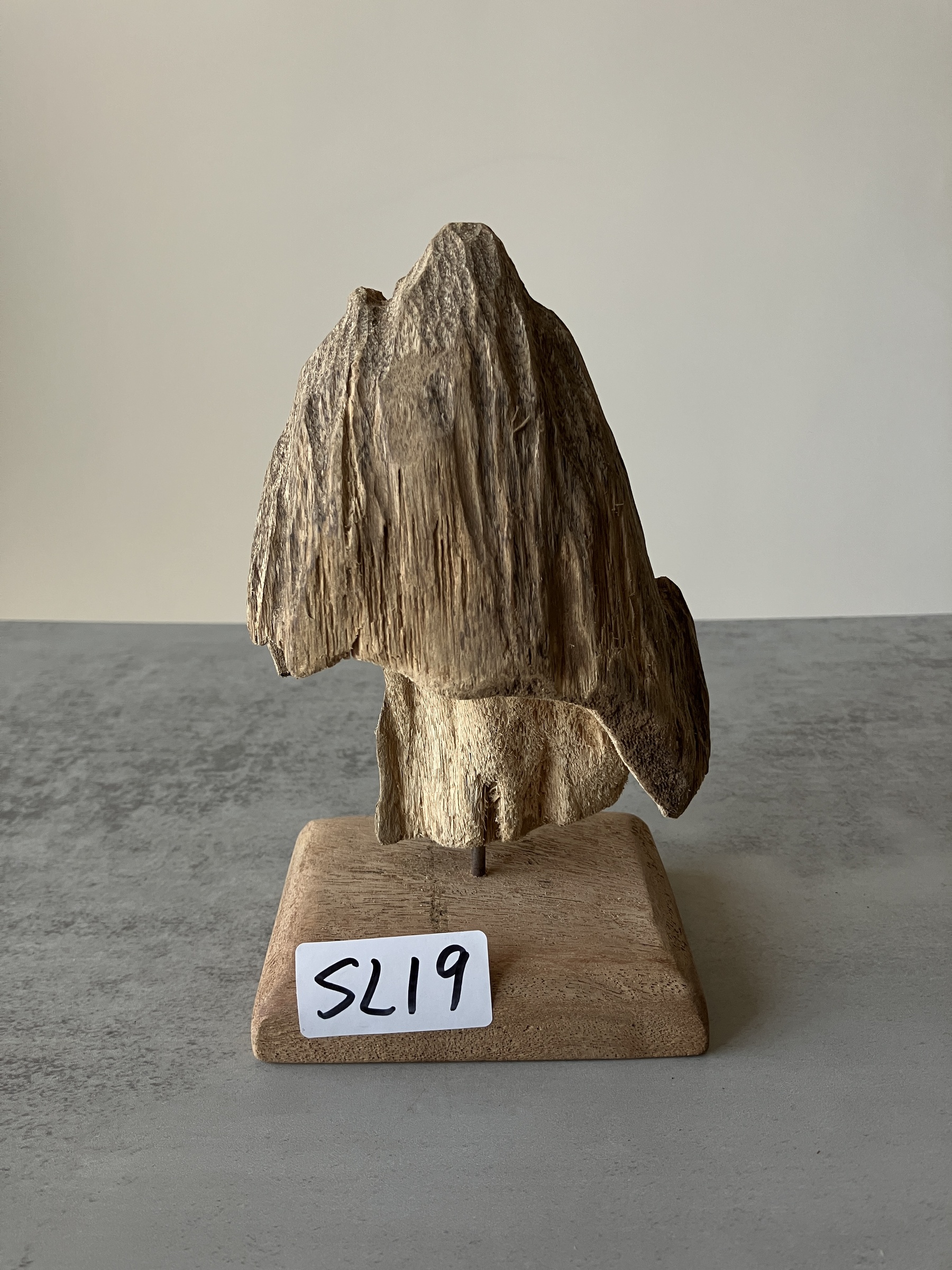 image_1CE65473-431C-4419-B2C4-E0D4B97AED77_1751273962