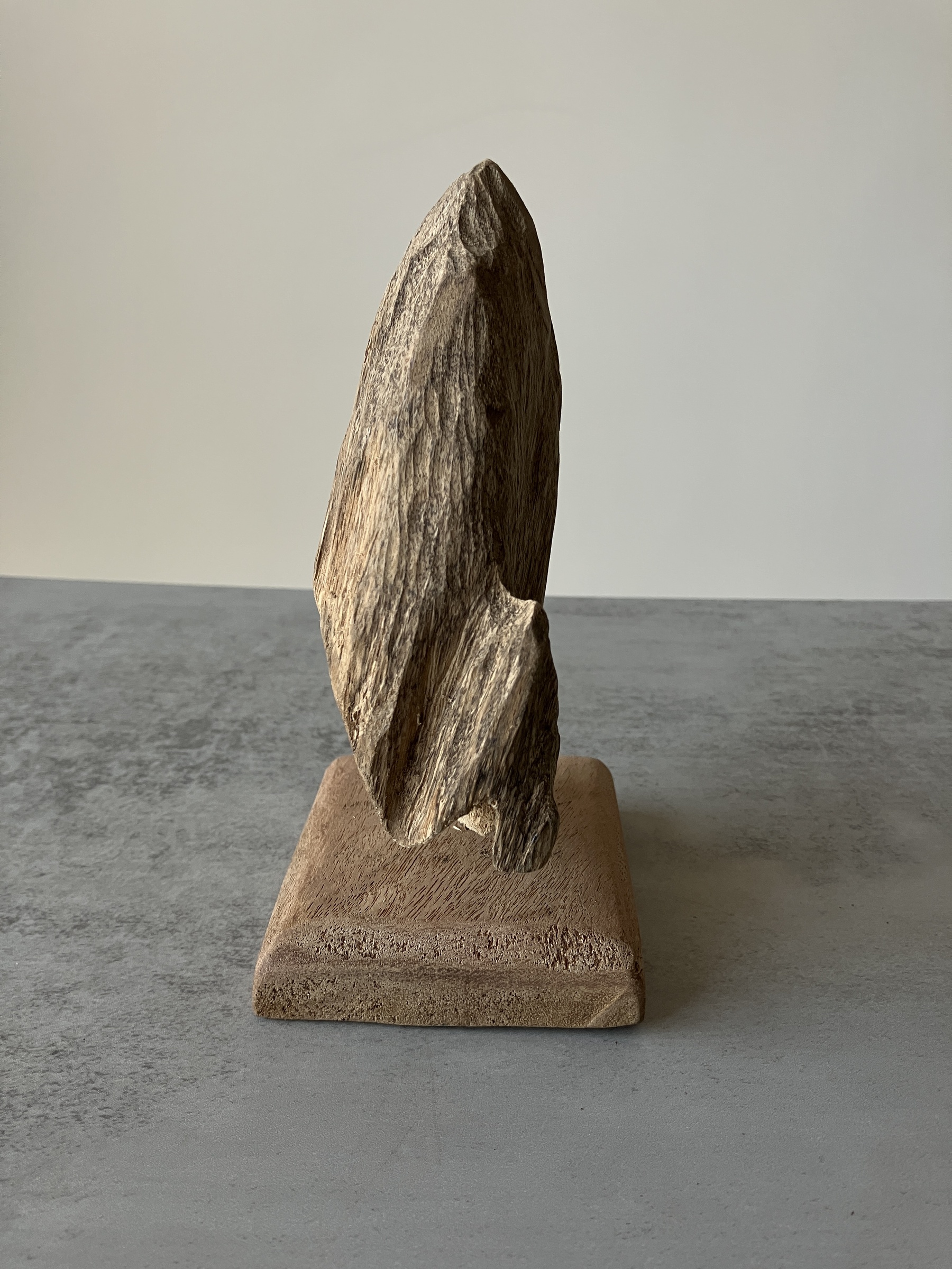 image_DE8984A7-794E-434A-A055-A19860E2F3AF_1751273962