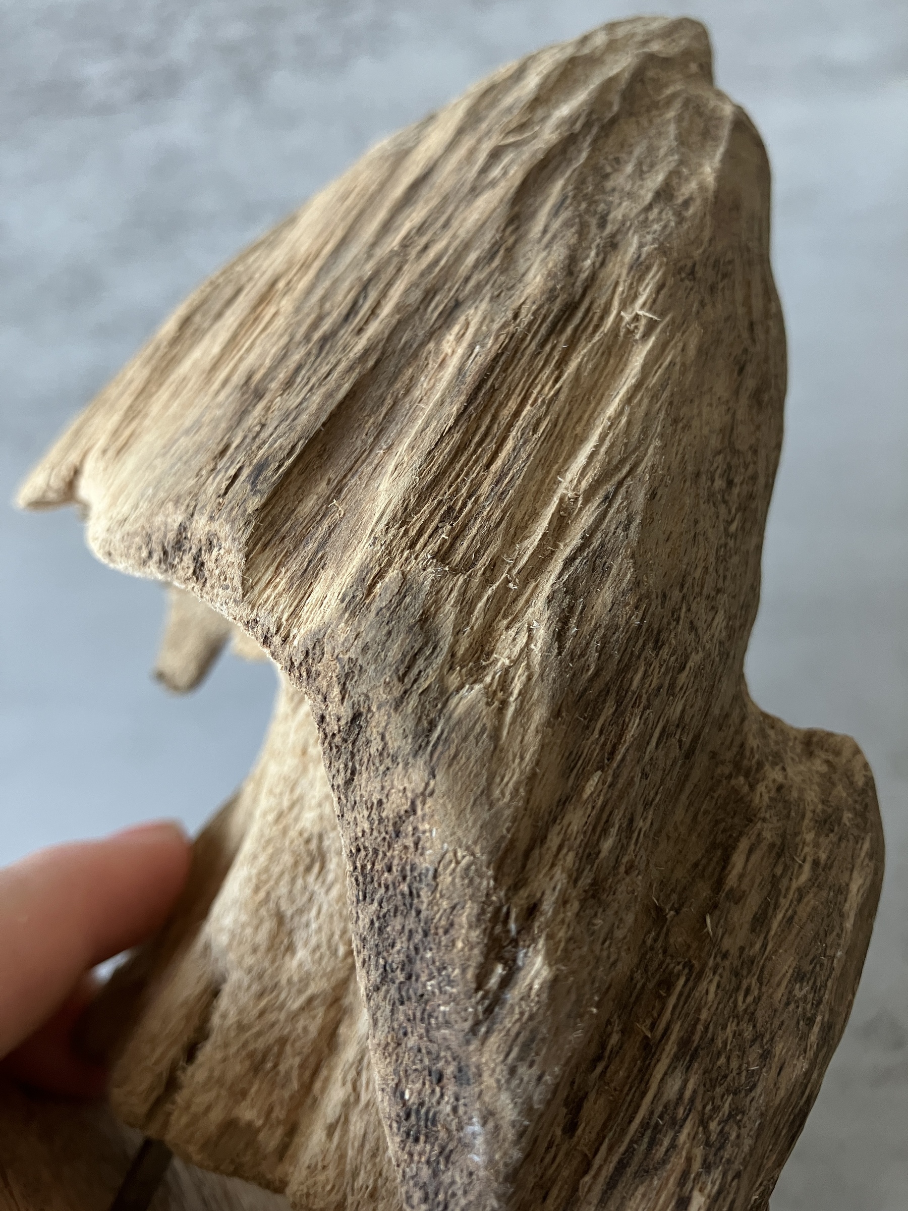 image_31F14A88-C0FD-491B-975C-90DCAB063913_1751273962