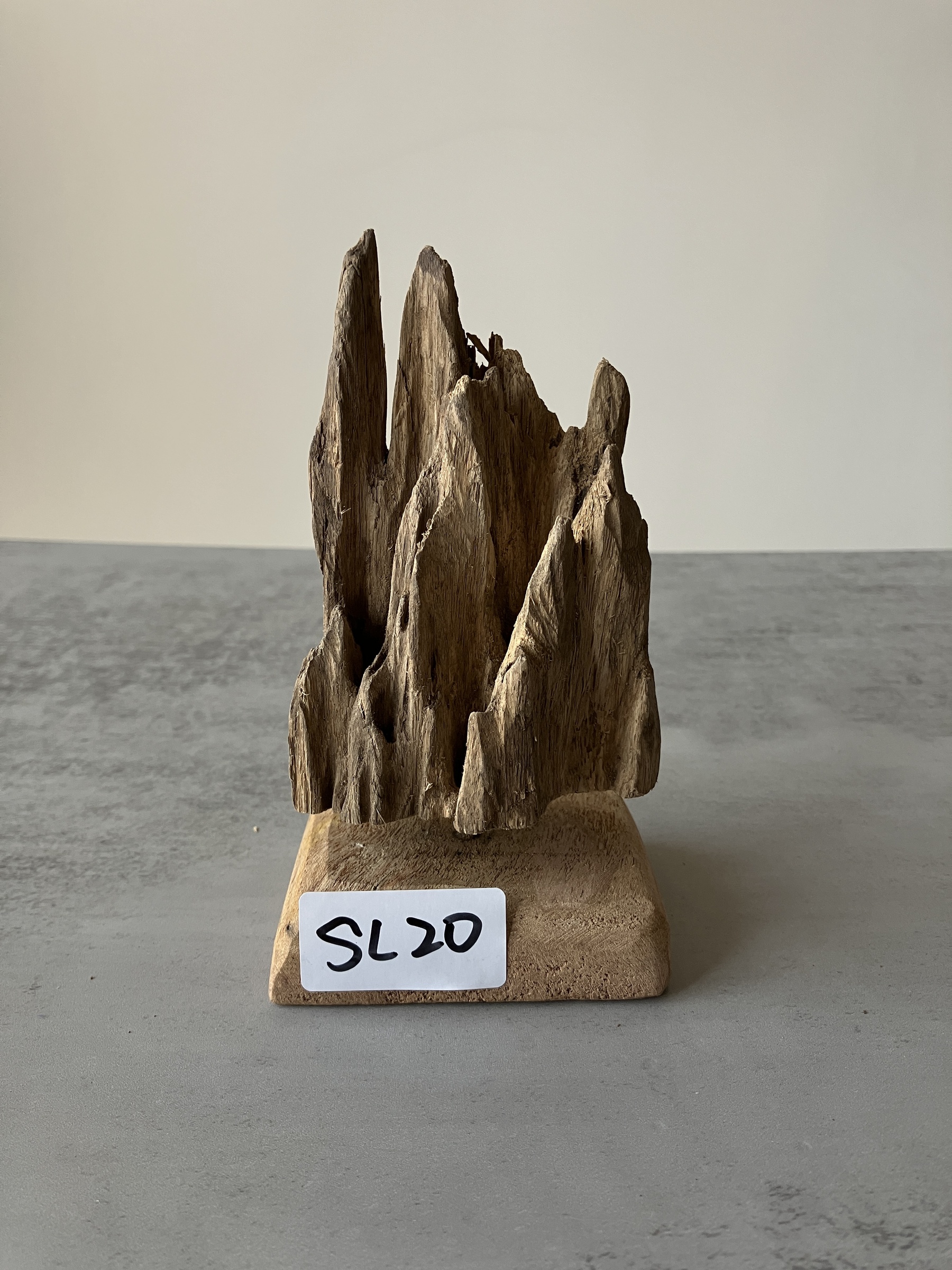 image_9298A627-BEF7-4D5C-8F01-2503F3BB6FA6_1751275466