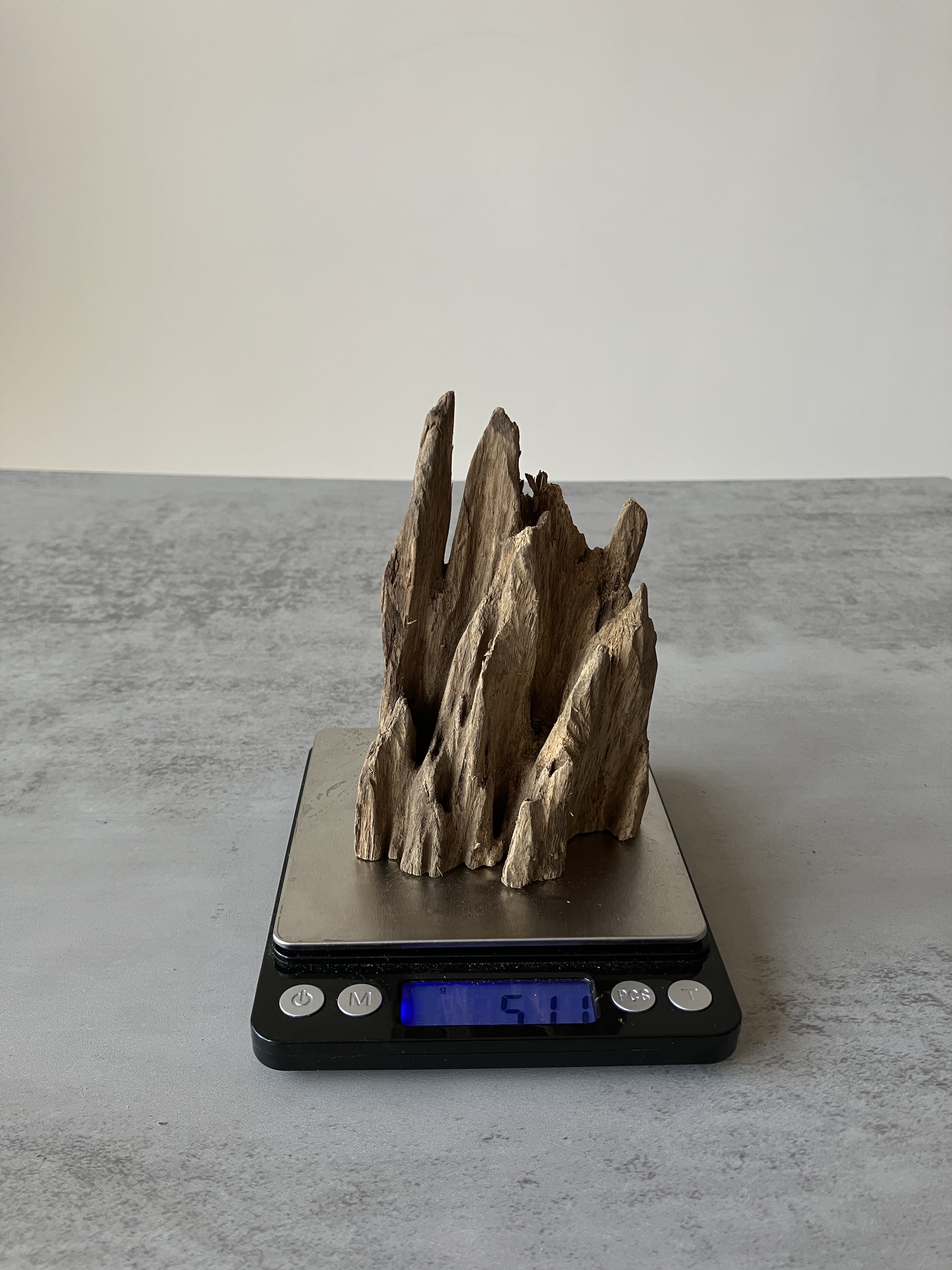 image_DC425476-1F4F-4F35-B62C-7BBB8D4A35CF_1751275466