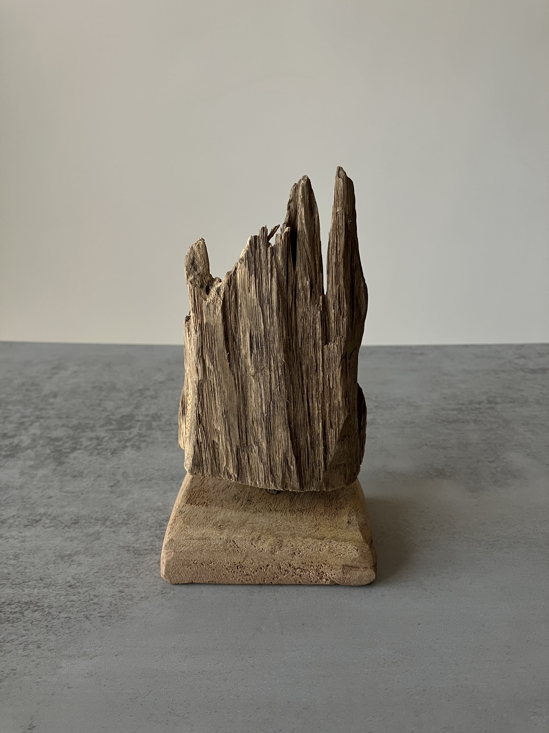 image_21735D5B-52E3-4071-ADC3-C9B88899AD7D_1751275466