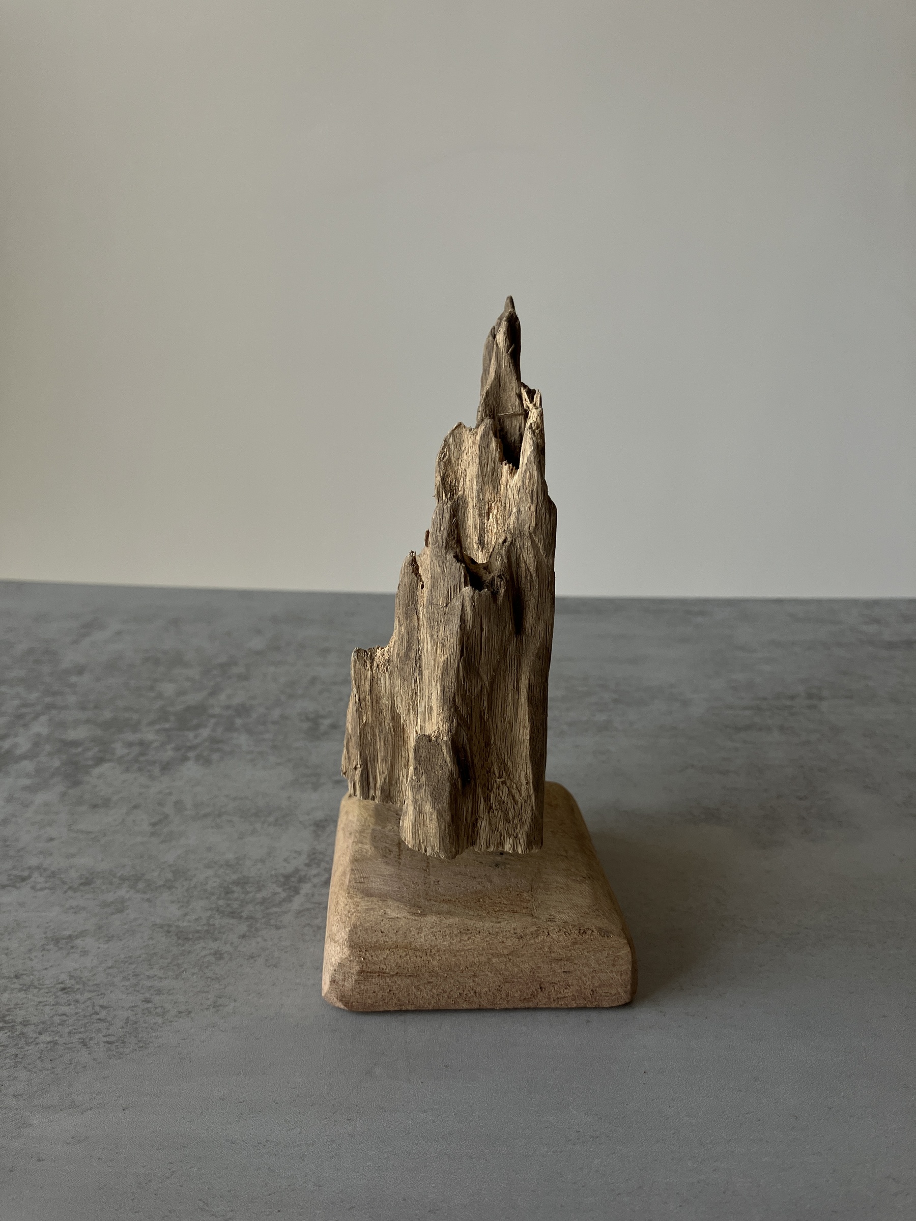 image_FF584839-6308-4D99-BAF3-B9BEBFFCDC1F_1751275466