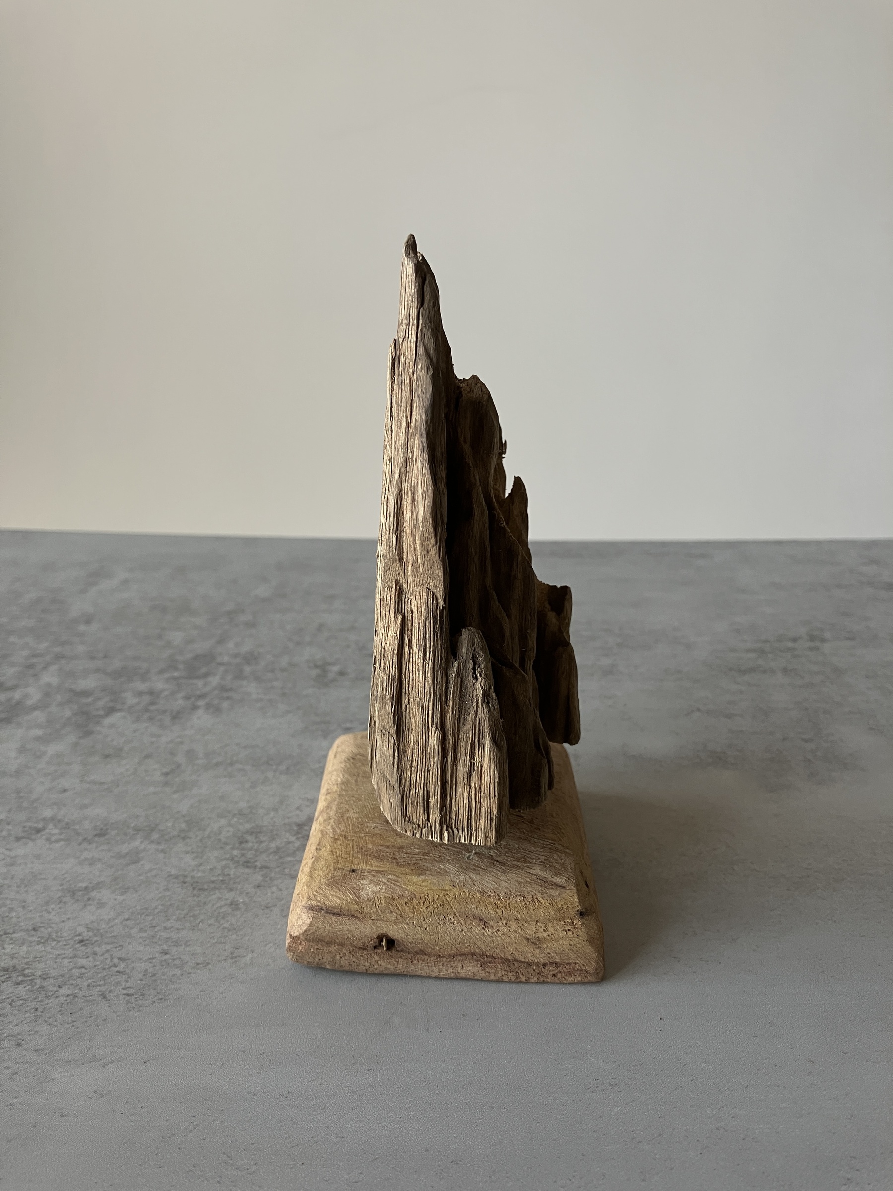 image_F6FEE66D-D4B0-4B8C-8425-8A2461878071_1751275466