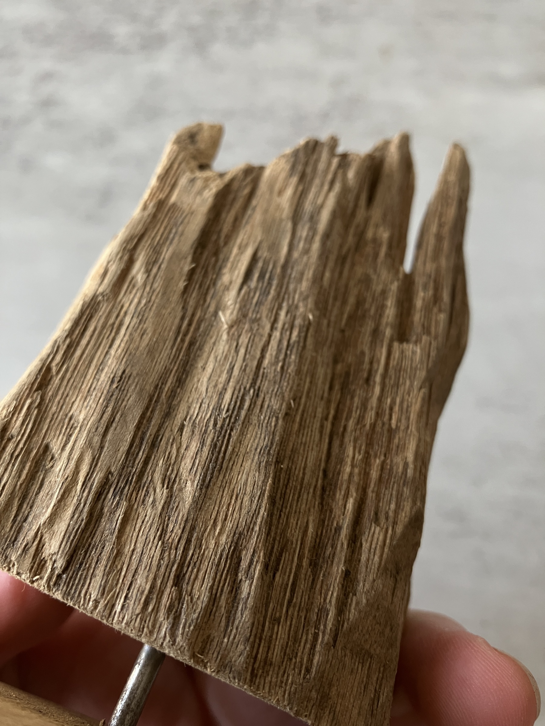 image_34F7B857-8B4B-4E72-8404-87827A2CF646_1751275466