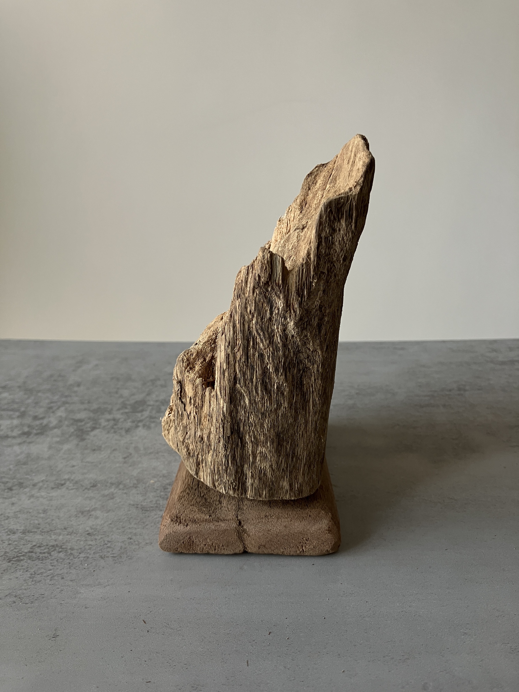 image_F4CB0358-BFB1-4C8C-94D0-7C0202D16ACE_1751276341