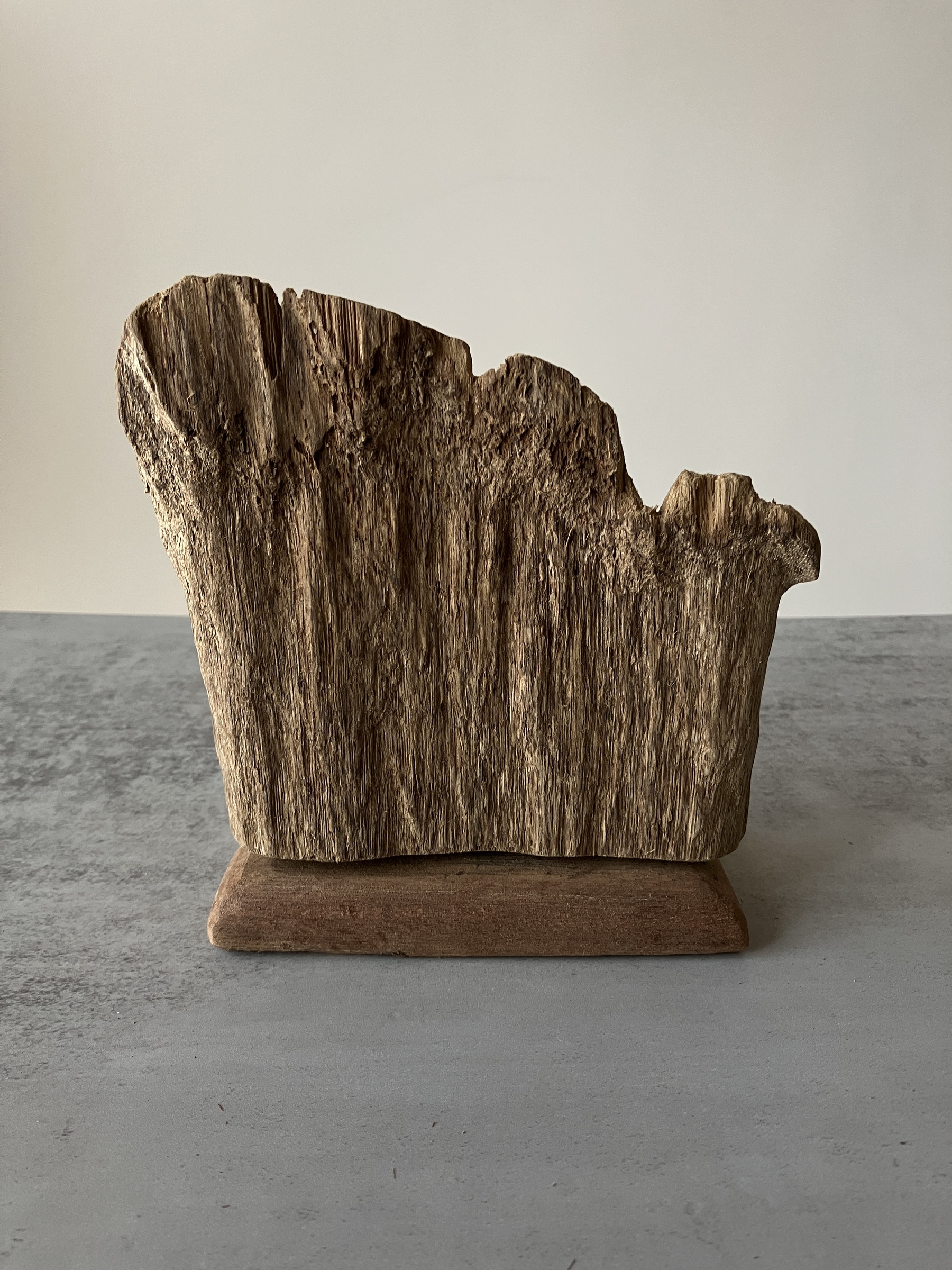 image_960E40AB-5205-4097-A408-1A696FBA662D_1751276341