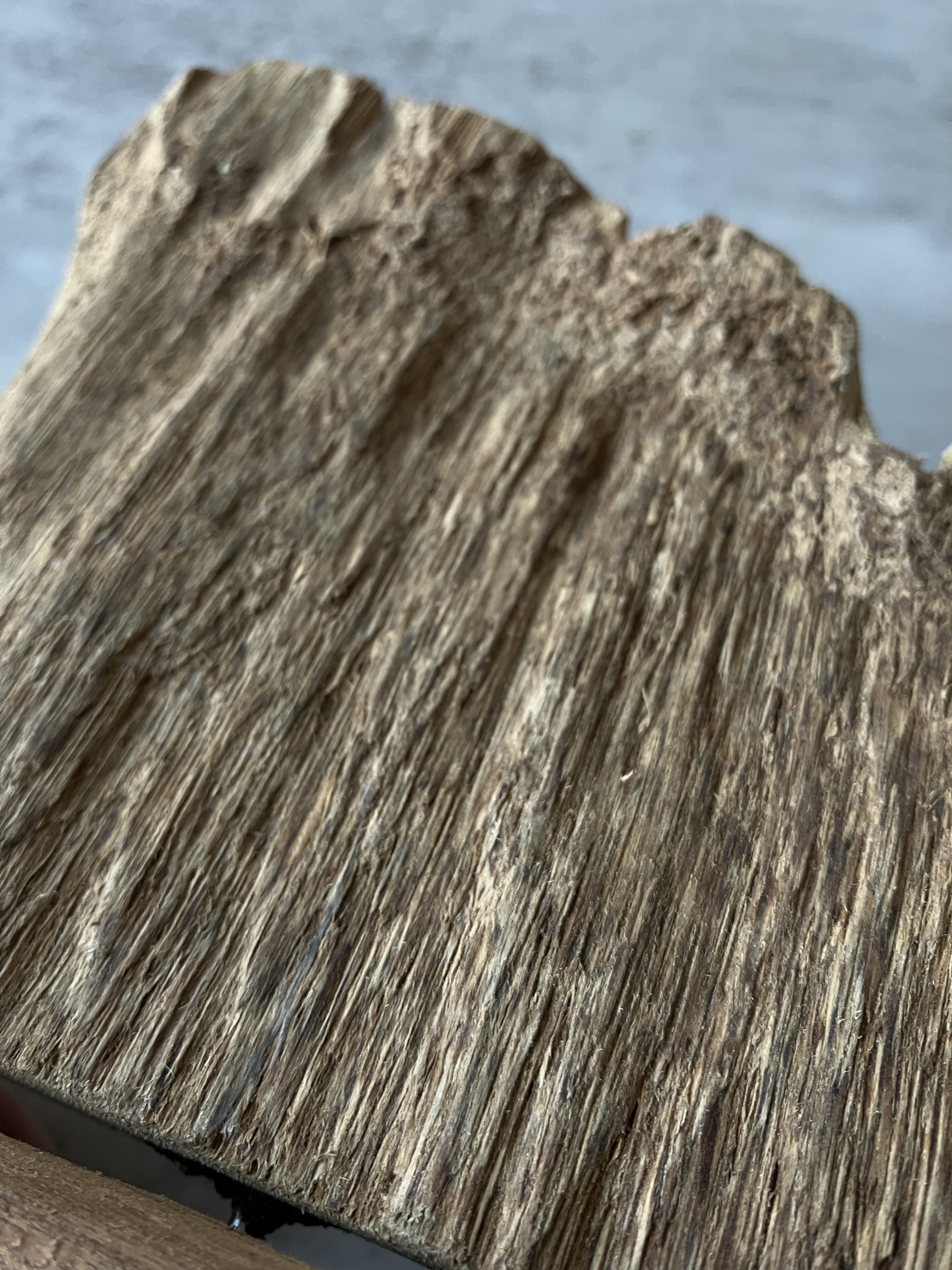 image_A2C4F9D0-3D9E-4602-9417-3BD848F9AB9F_1751276341