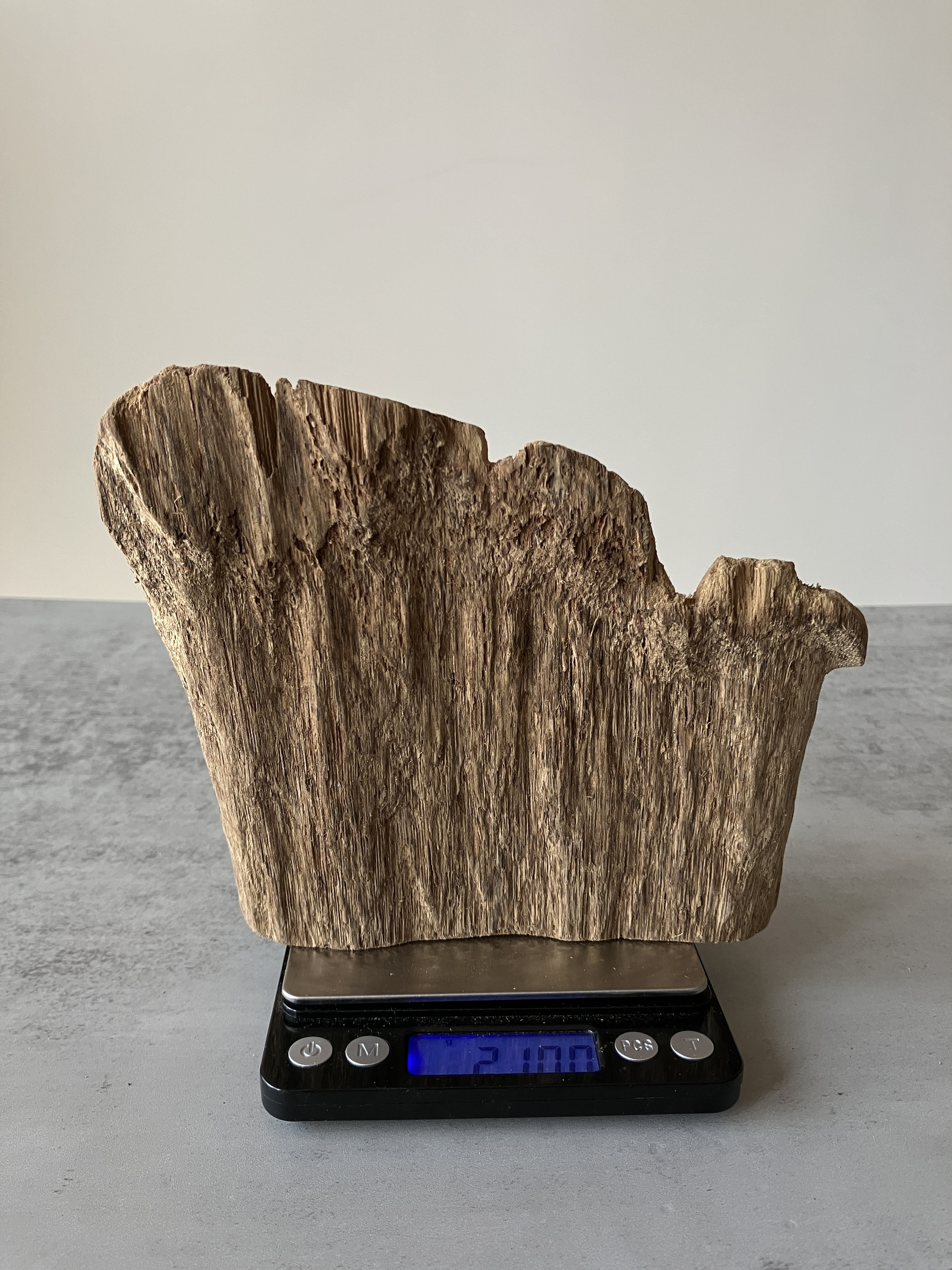 image_85B42DA4-1588-459B-A030-D4459CB3EBEF_1751276341