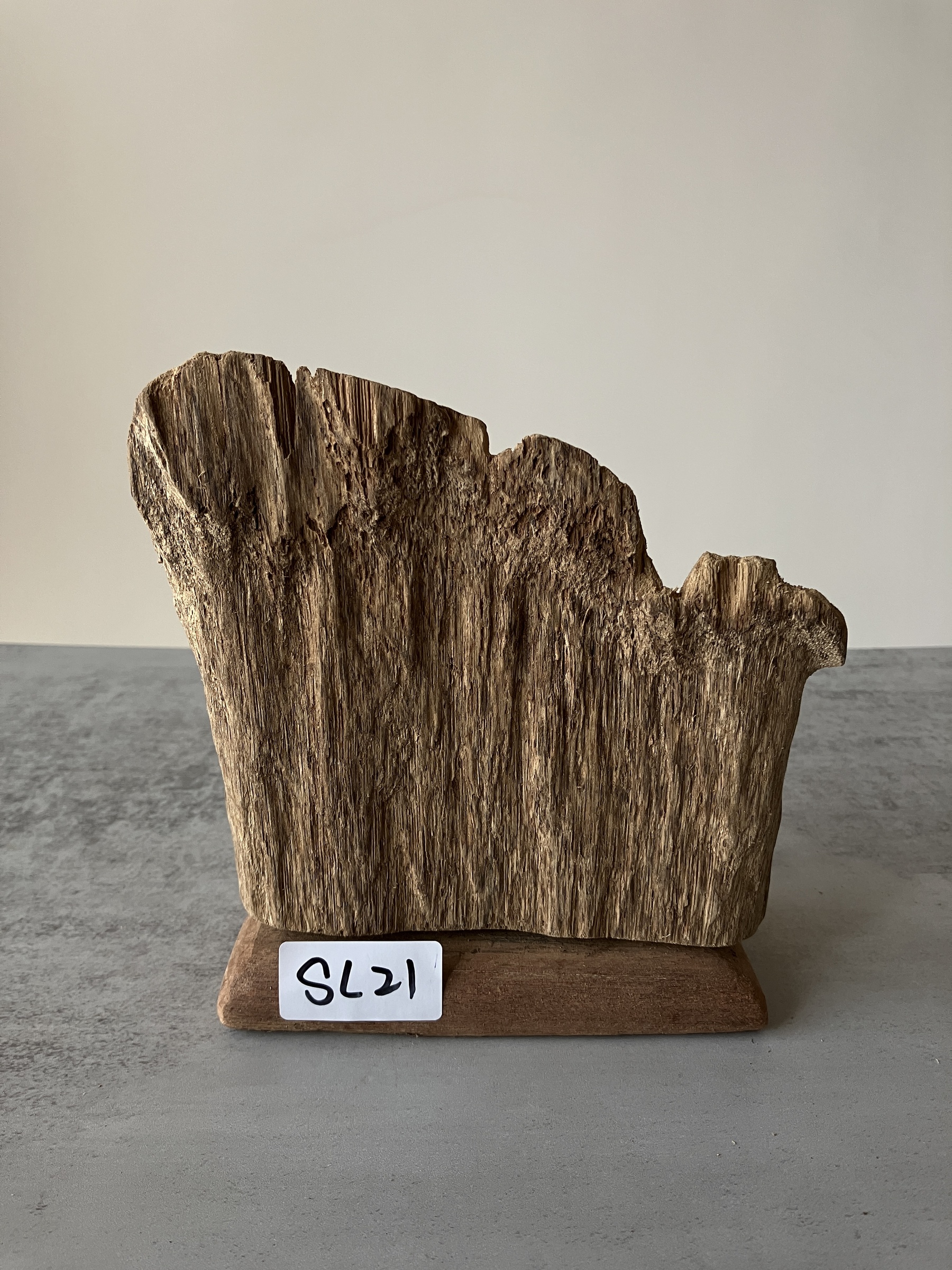 image_B949EB86-E7D8-4FCB-A7E2-5762F3E112E6_1751276341