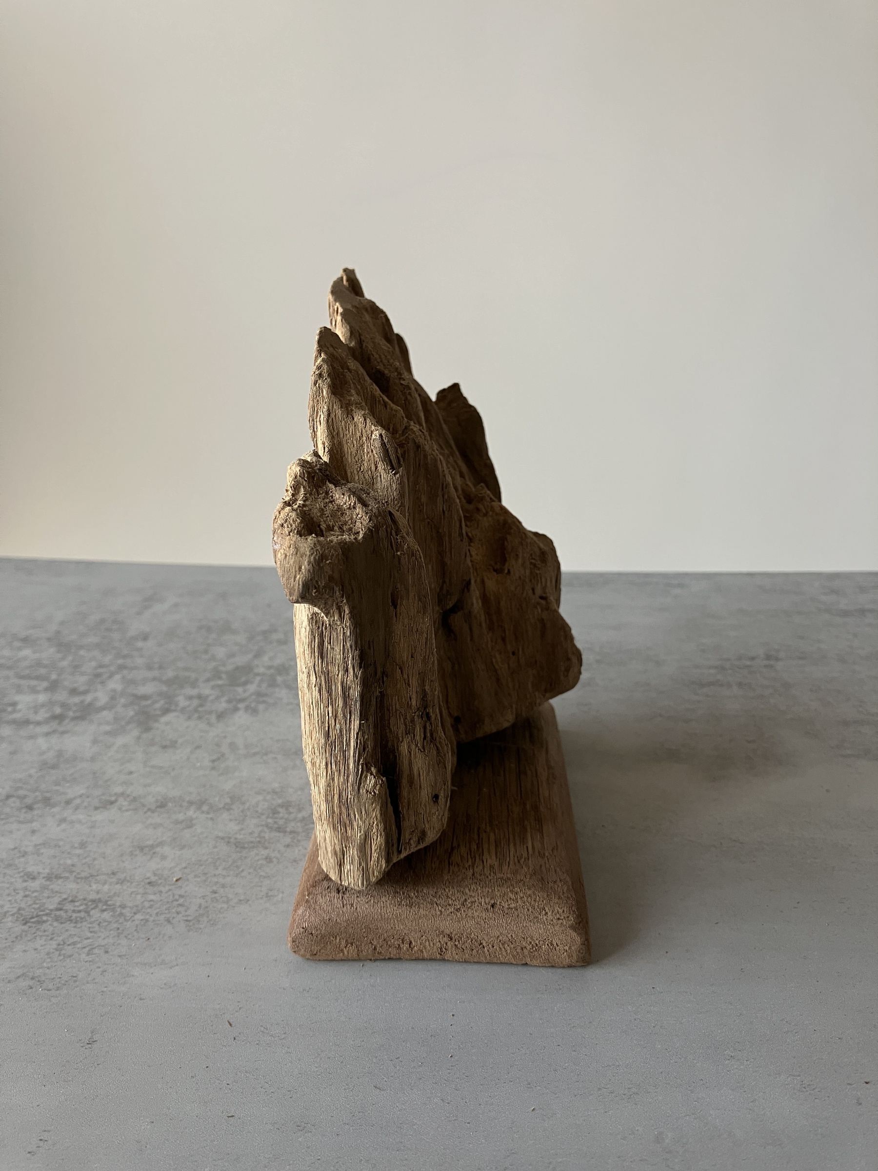 image_98A08DFF-29ED-4064-880D-499245106151_1751276341