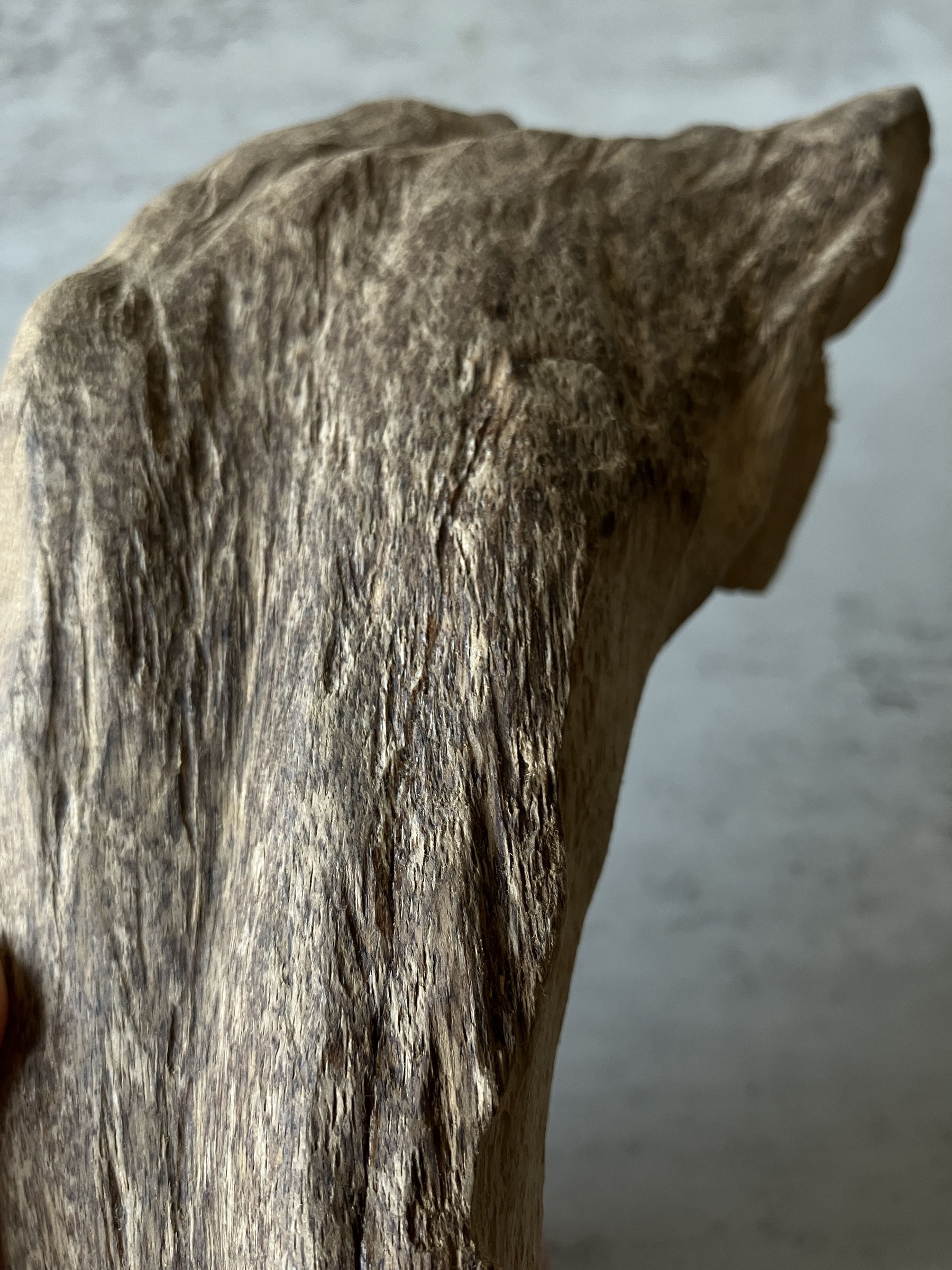 image_013C1E84-CAC2-4AD2-8572-CA6D15ADCABB_1751277273