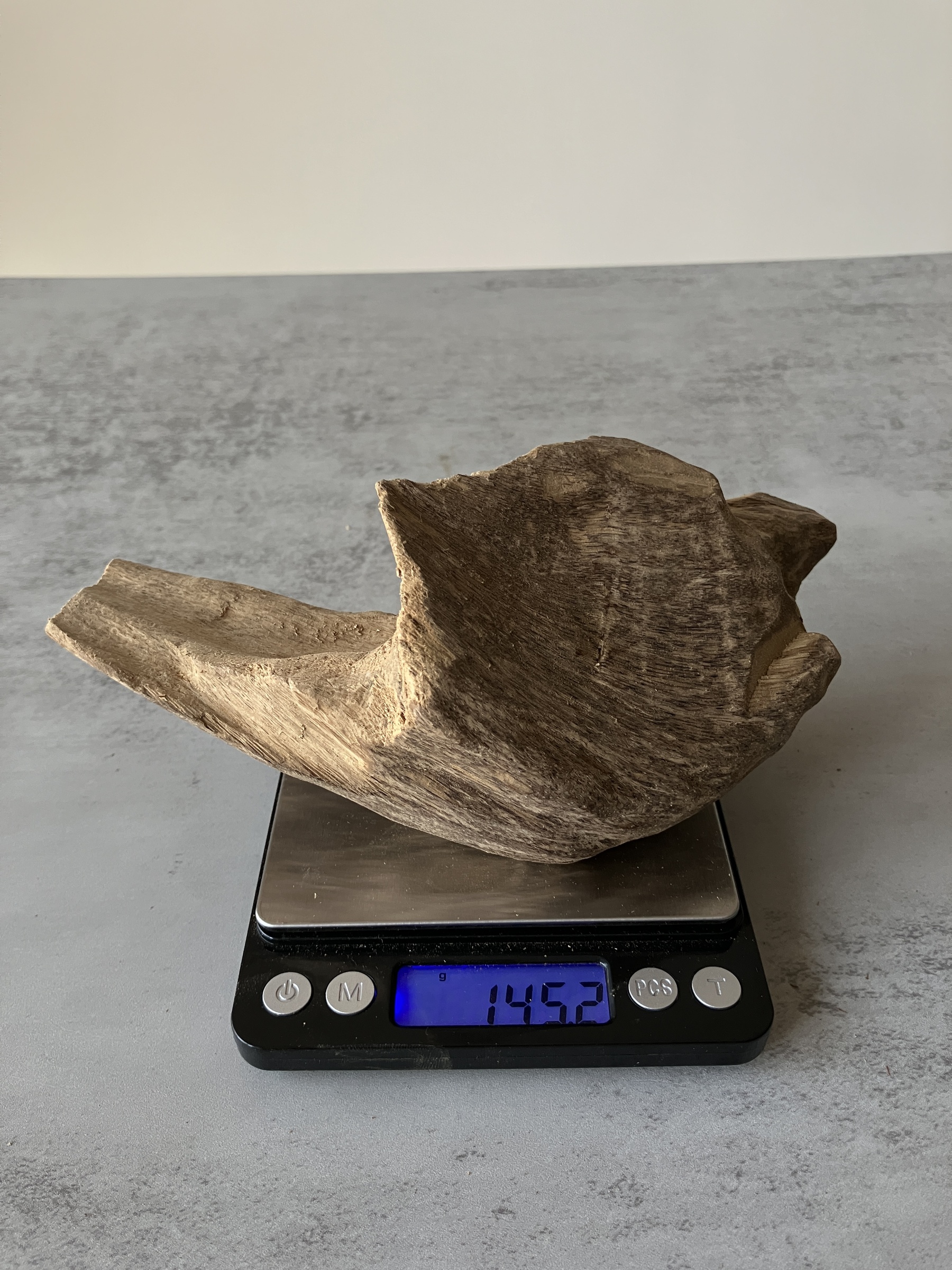 image_E5F2F0C4-019A-457B-9FF3-F59AA59DDF0B_1751277273