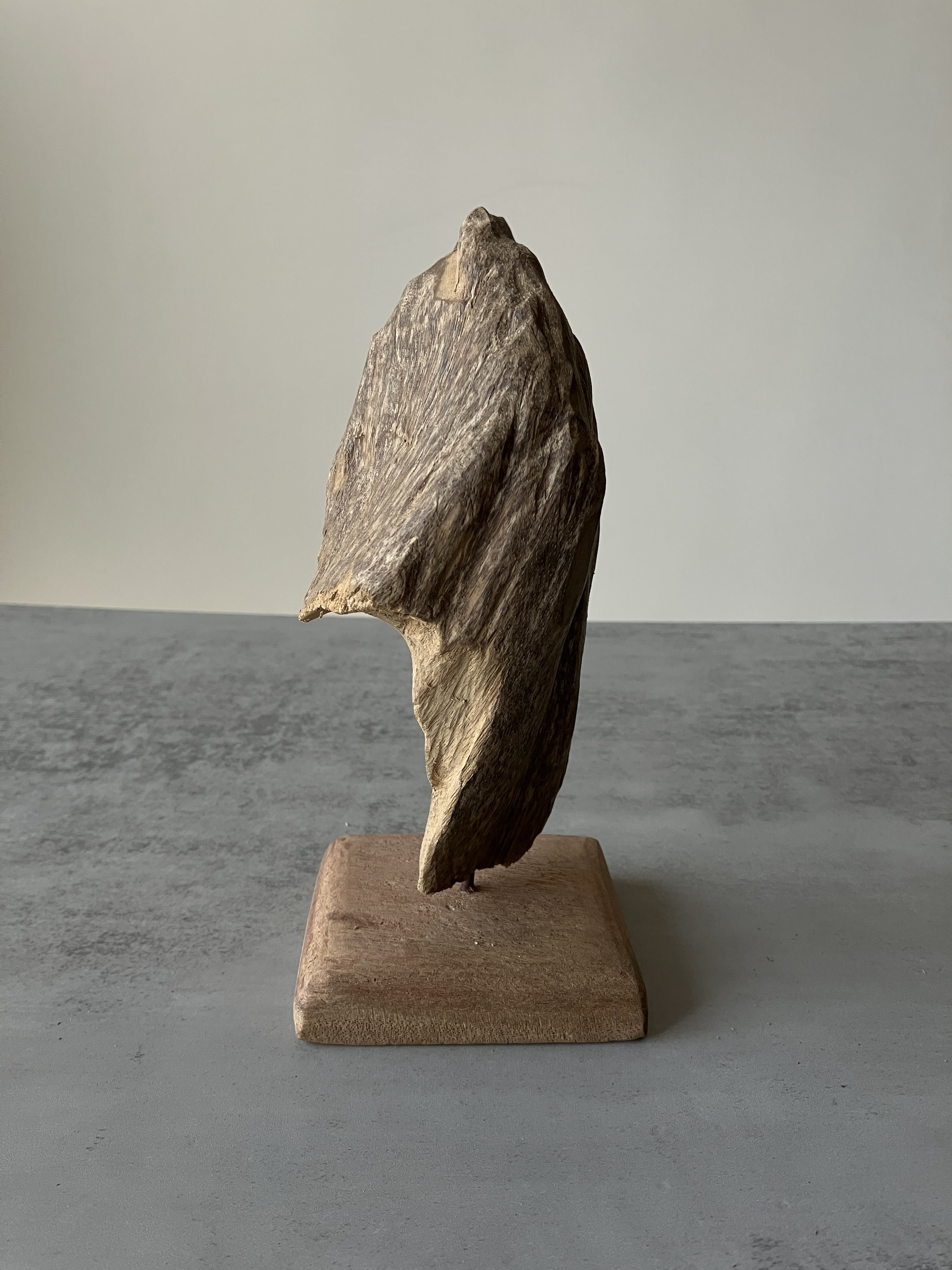 image_DF2577E4-1D77-49A8-A91A-1C54891C8F5A_1751277273