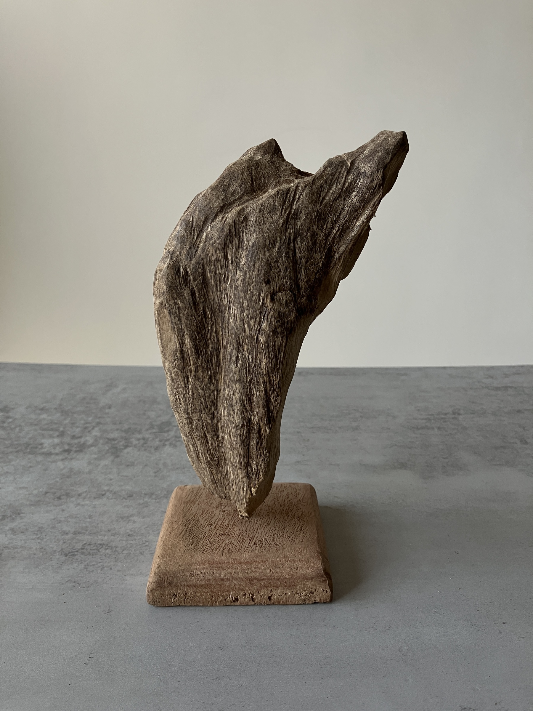 image_4687FECE-5B1E-4FF0-970D-72D4BEFABE8E_1751277273