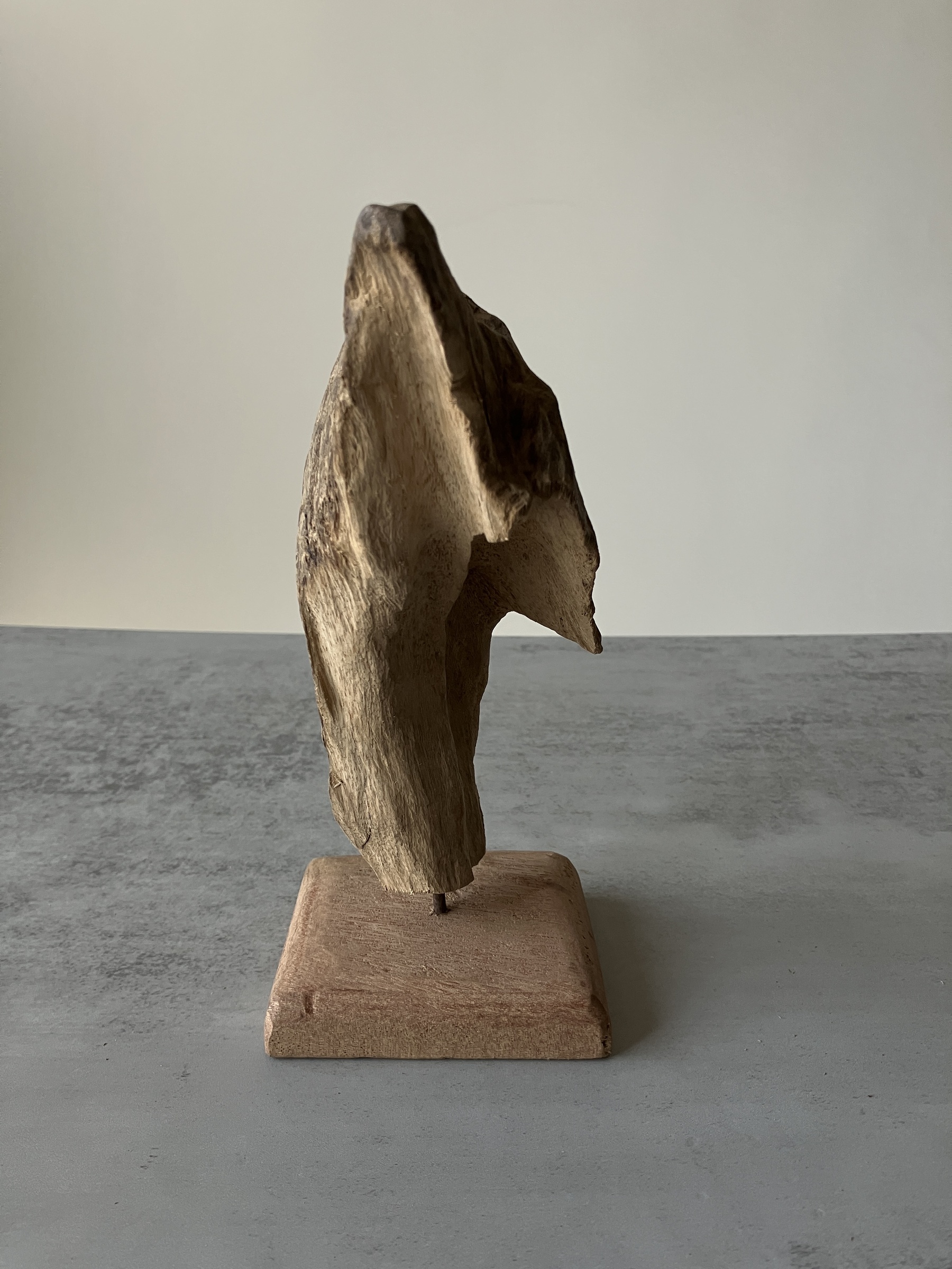 image_D5BDE875-12A0-4AA0-9243-B607ECAC3753_1751277273