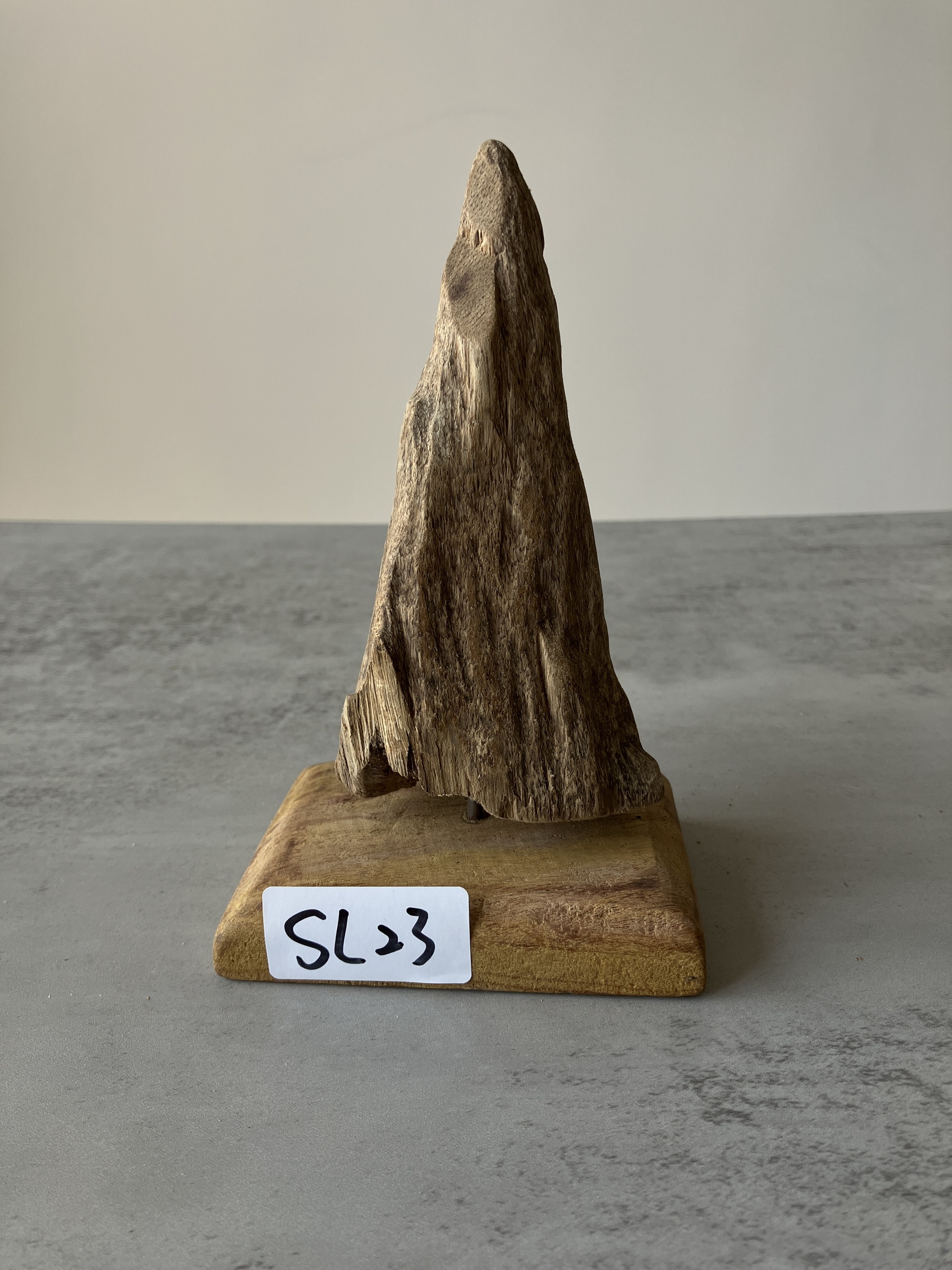 image_8D5796C7-2952-483C-BCCE-4CBF365B67A3_1751356408