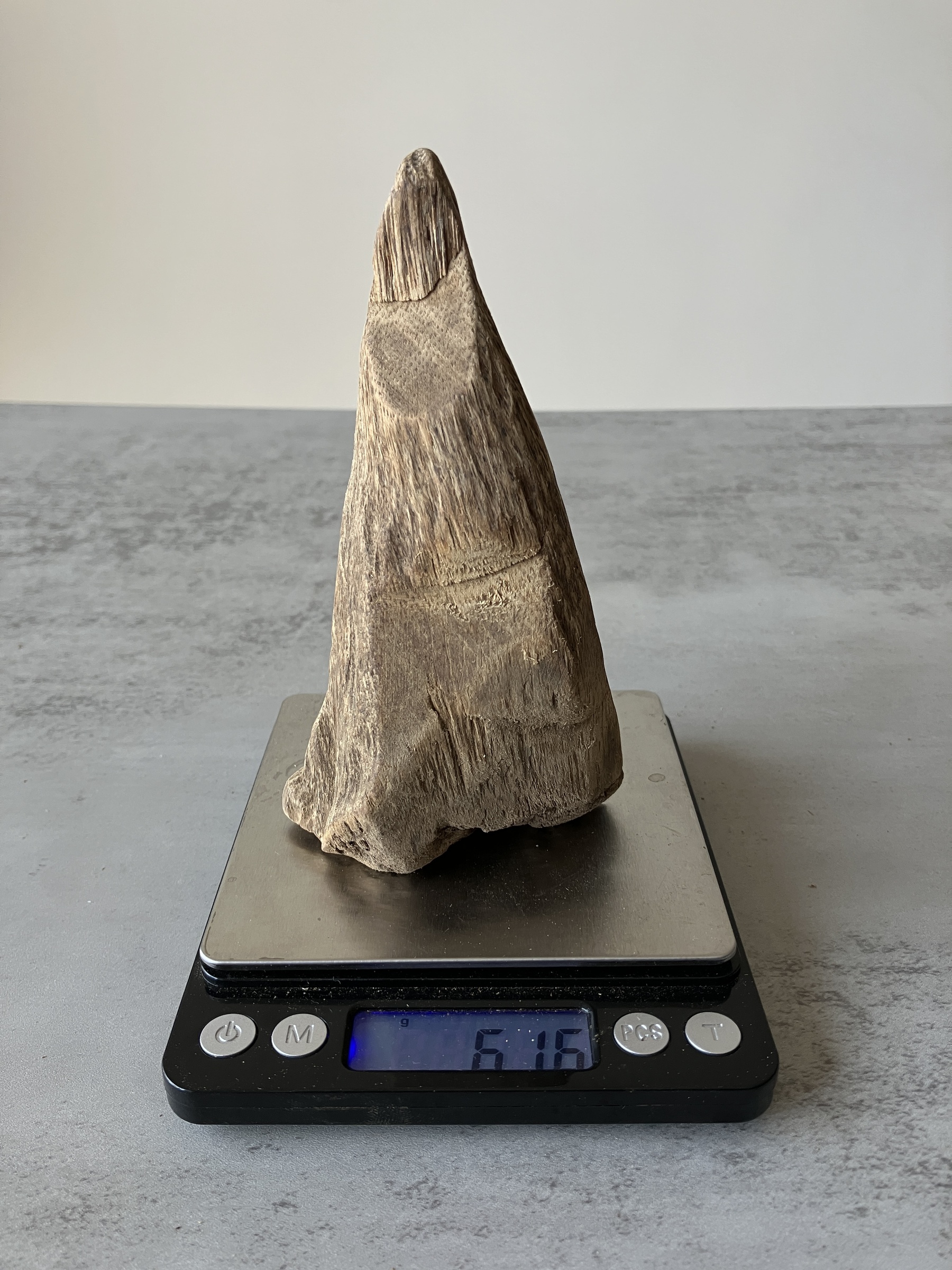 image_13E953F8-9733-4B6E-A240-570609DAF3D7_1751356408