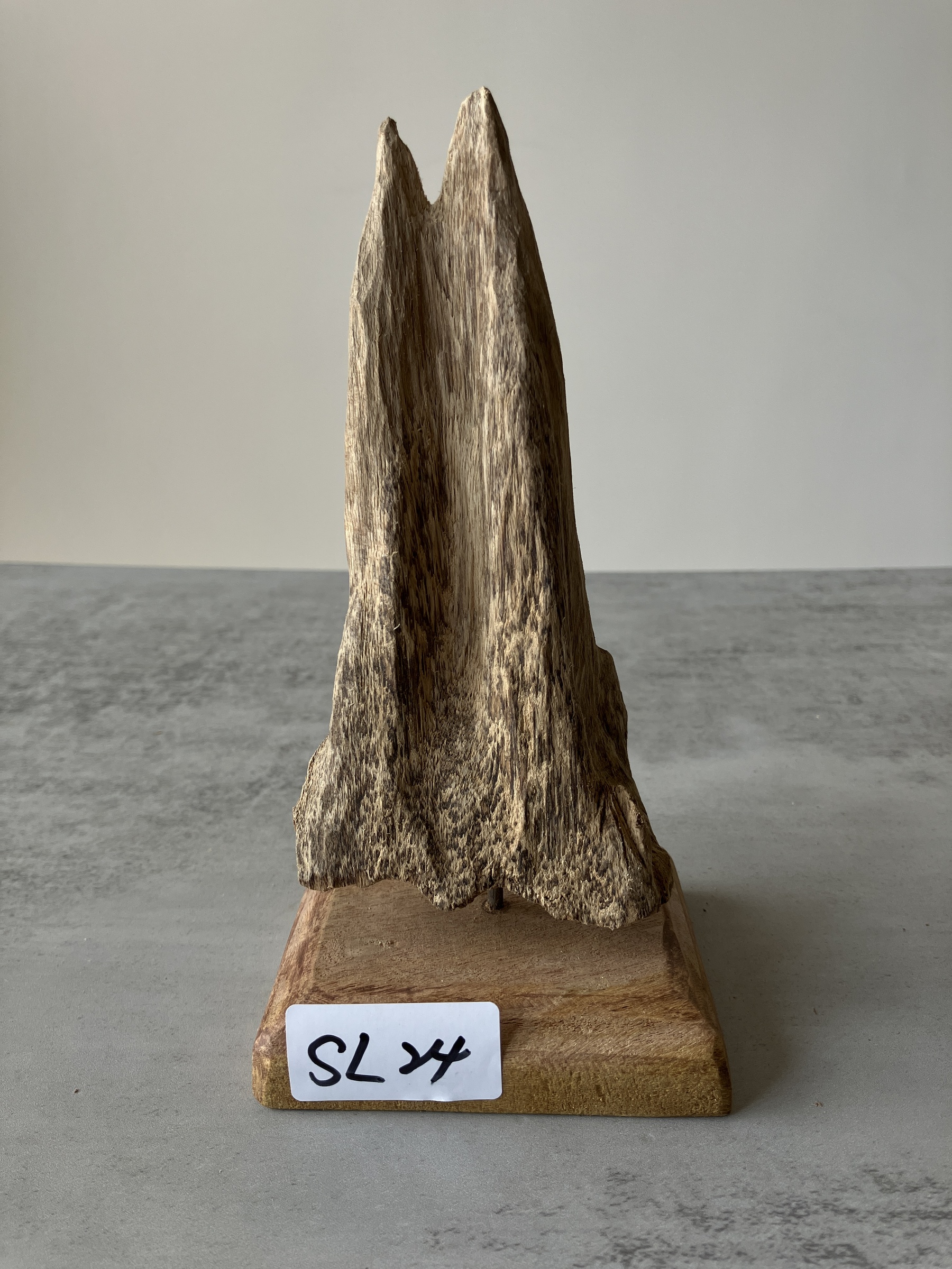 image_22D5A692-8895-4AD0-AD8A-80402264E699_1751356564