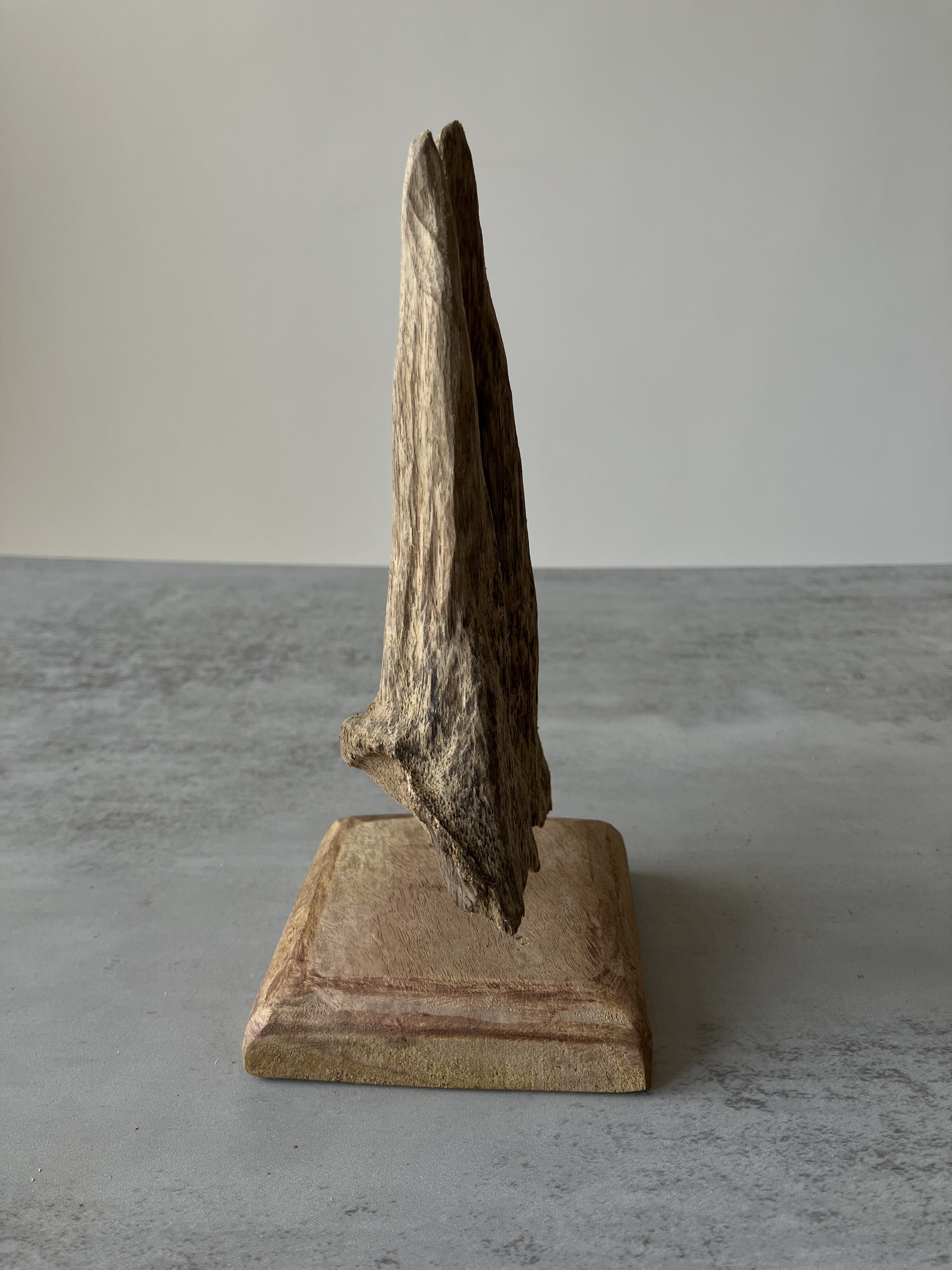 image_279A7933-F80F-4602-966F-DD5F5A9971B1_1751356564