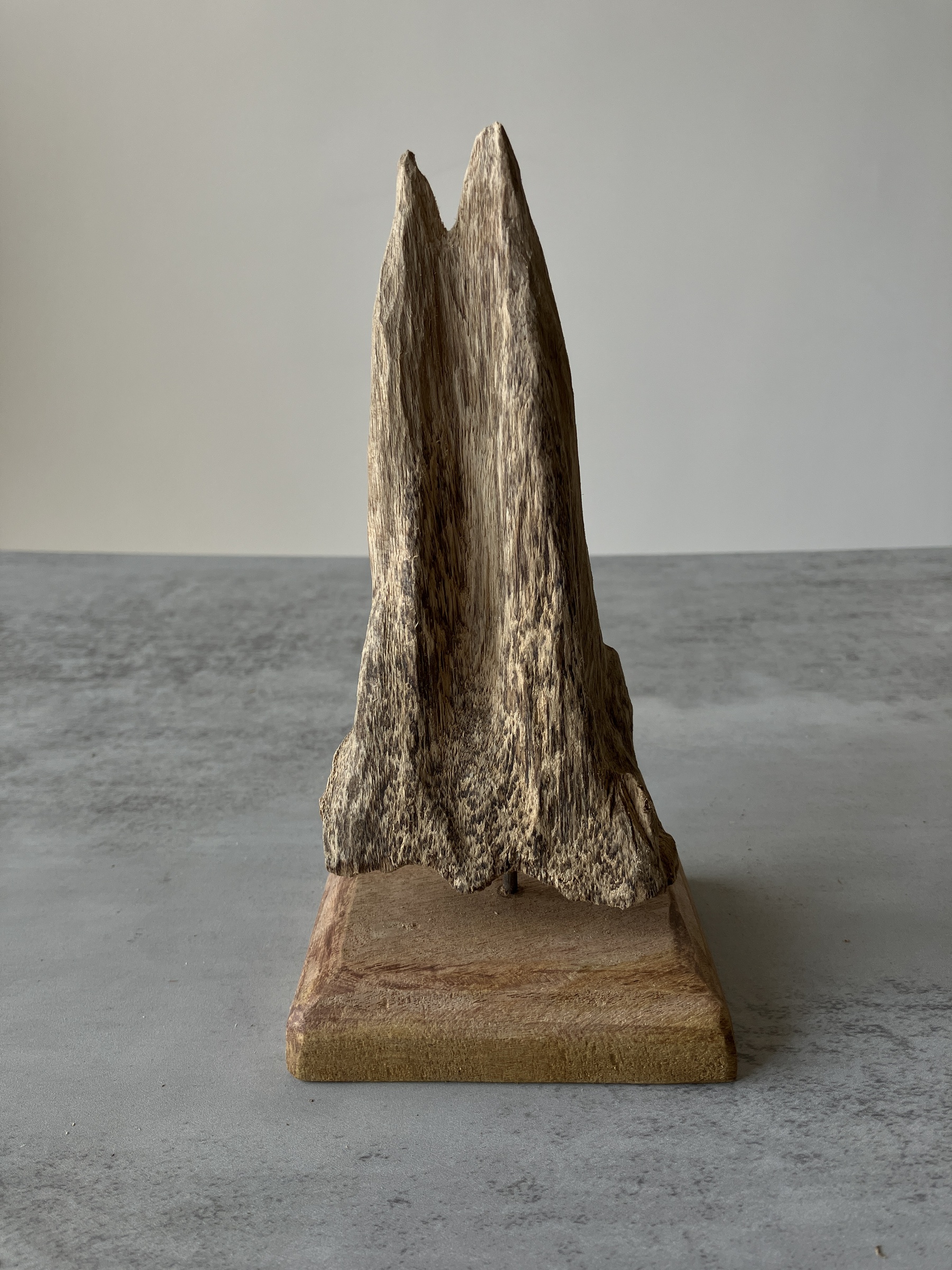 image_69A9A4AF-B43D-4699-8743-570B3D968139_1751356564