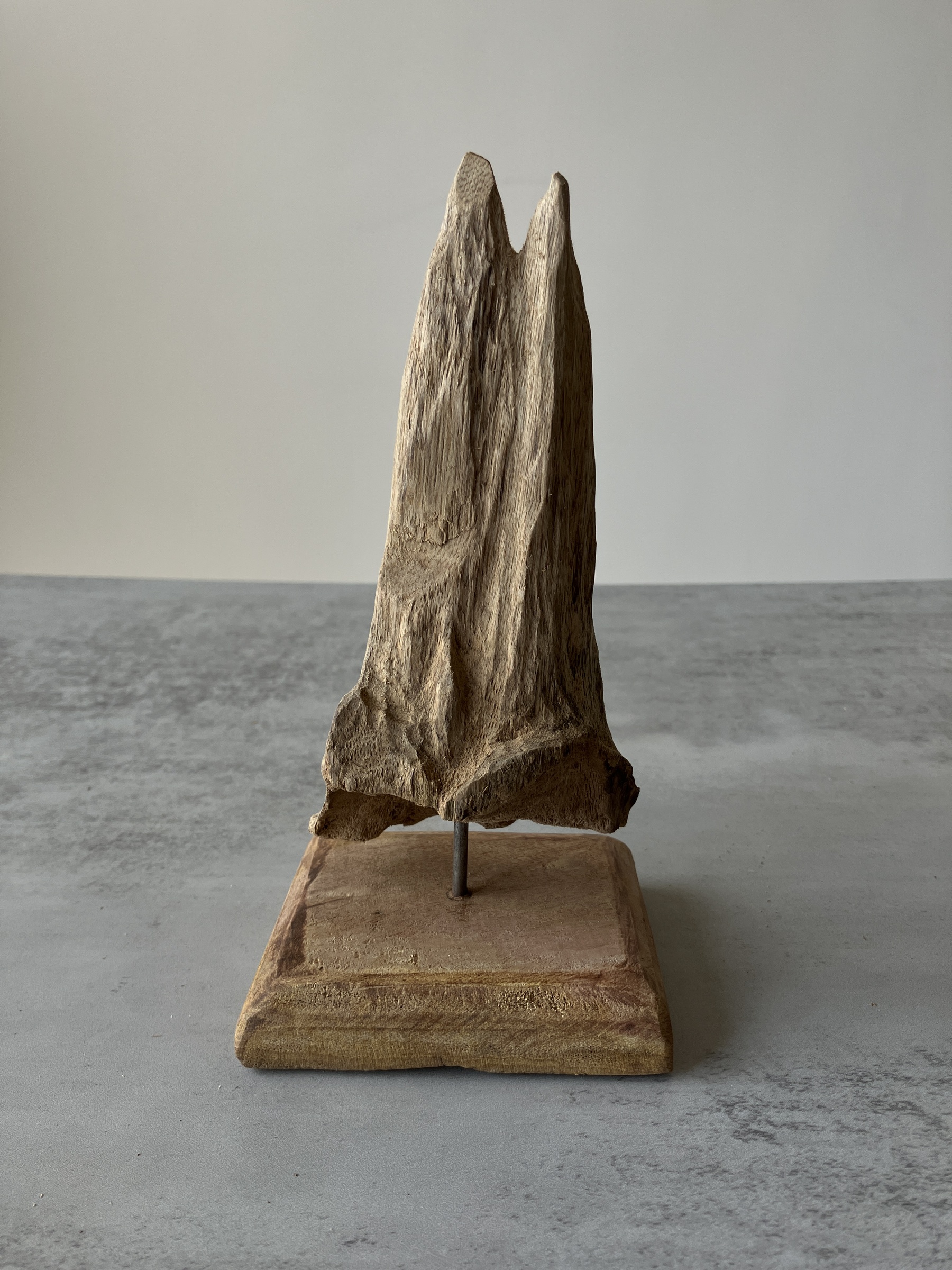 image_D4CD3357-77B5-4041-9C6F-AE5026BDC81F_1751356564