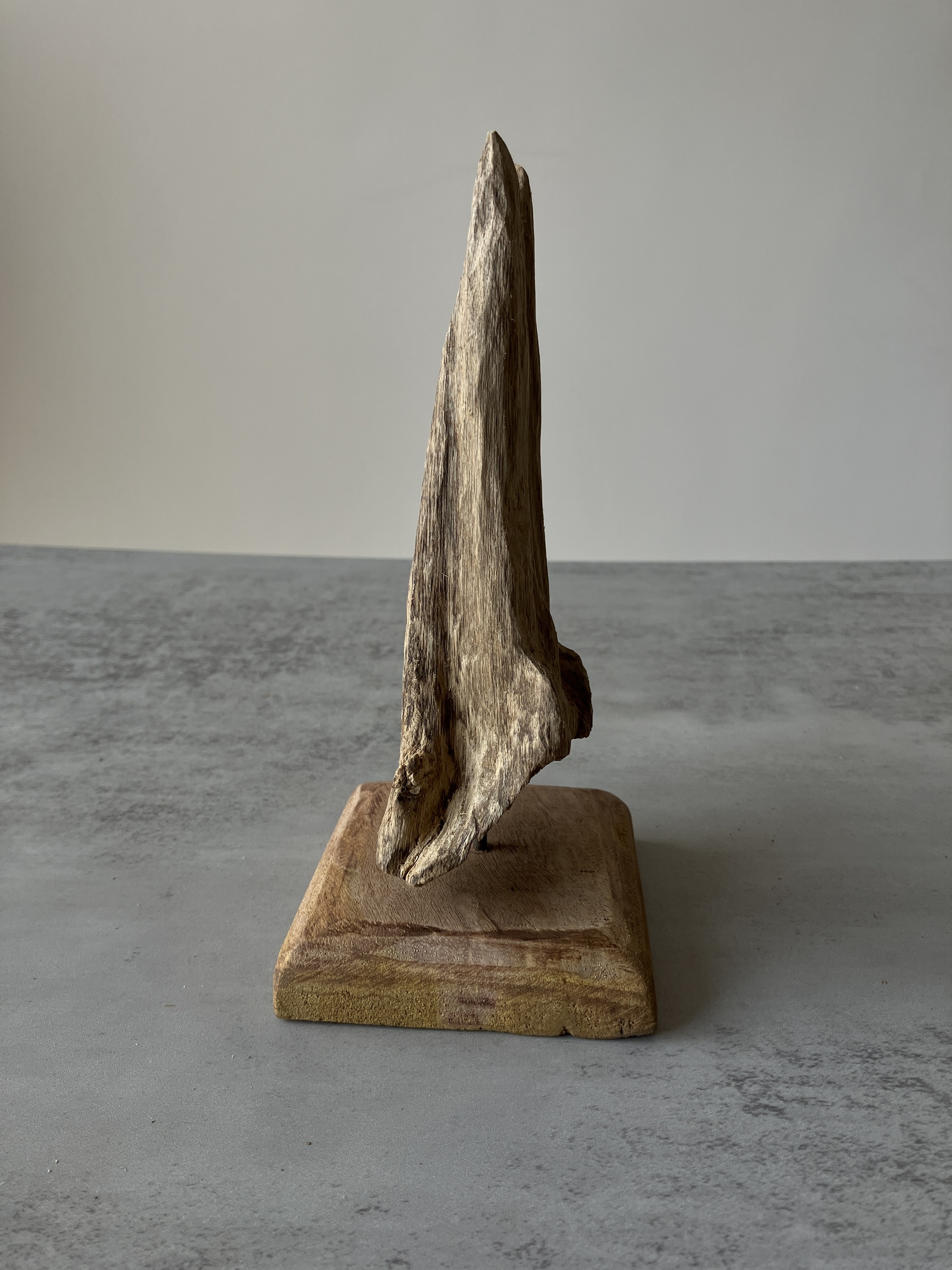 image_9F7A44E7-2956-4441-894E-66A5056579AA_1751356564