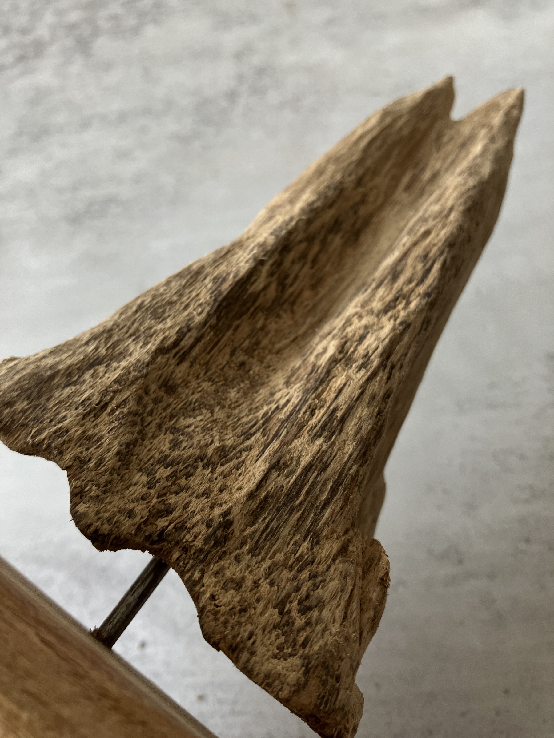 image_8EFF4F83-E5BD-4948-922D-D28D7D74061D_1751356564