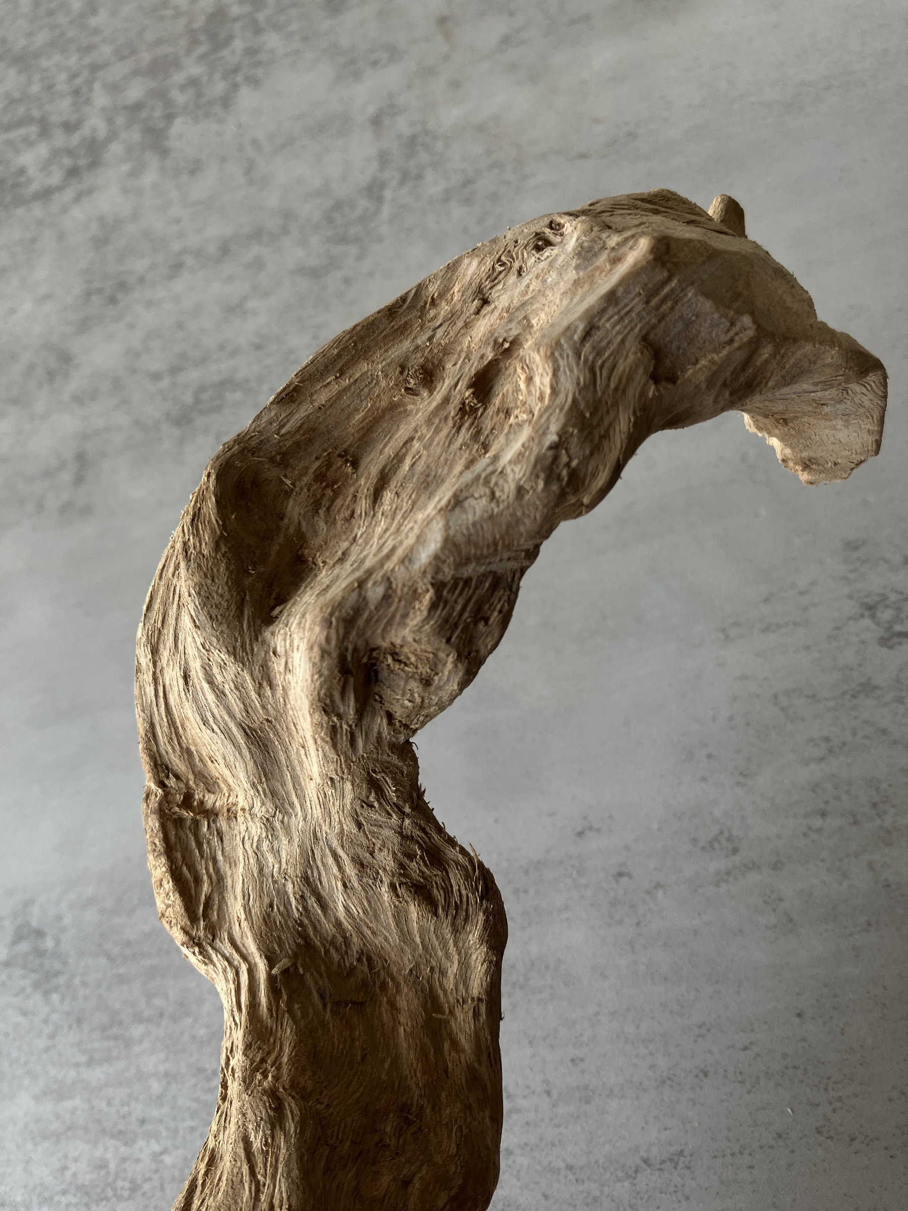 image_11D0A2E8-5903-4484-8EA4-2471644BDBD8_1751437493