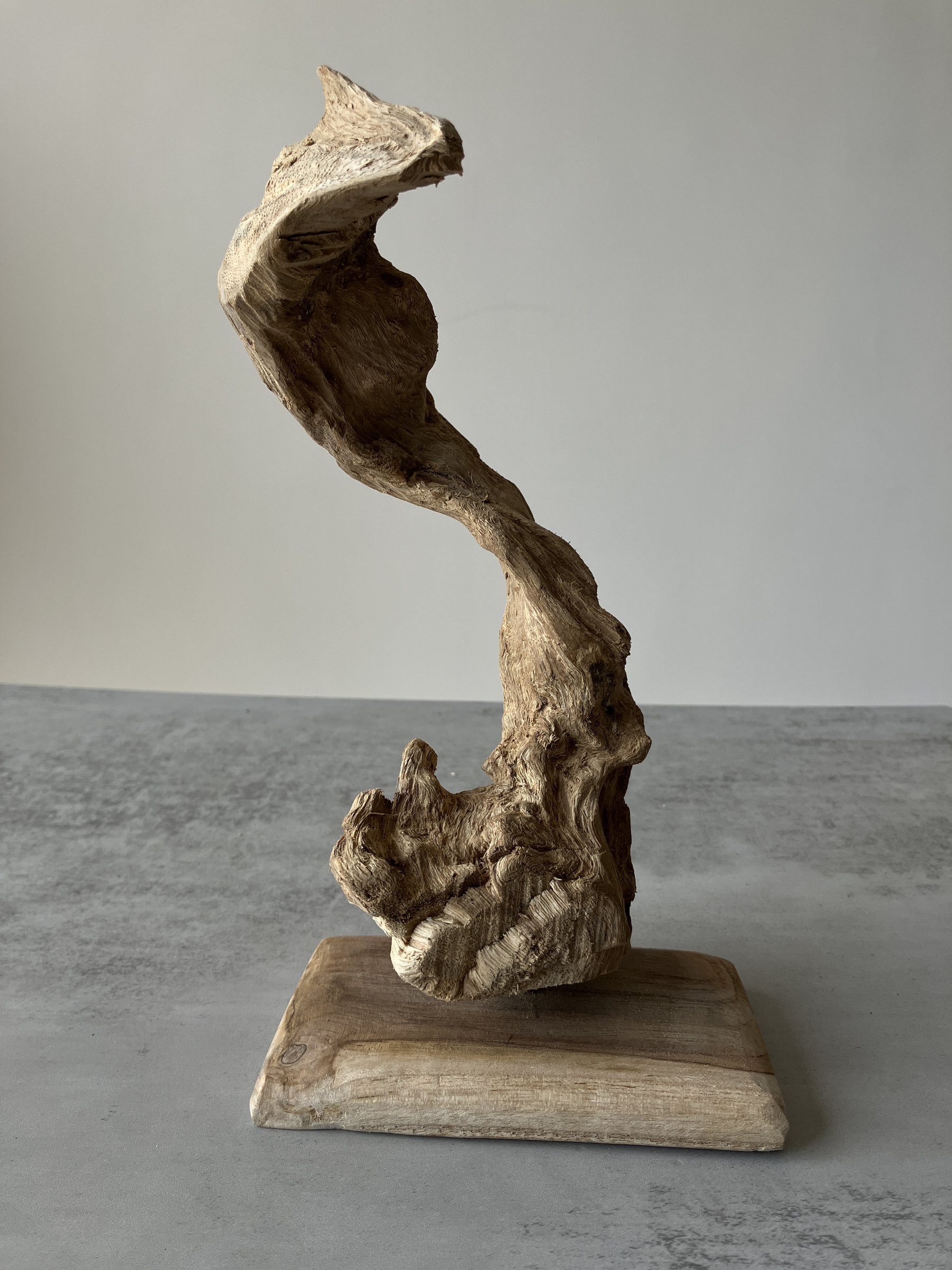 image_4377CCDB-E9BE-4F9E-AD00-1FADA30F2E08_1751437493