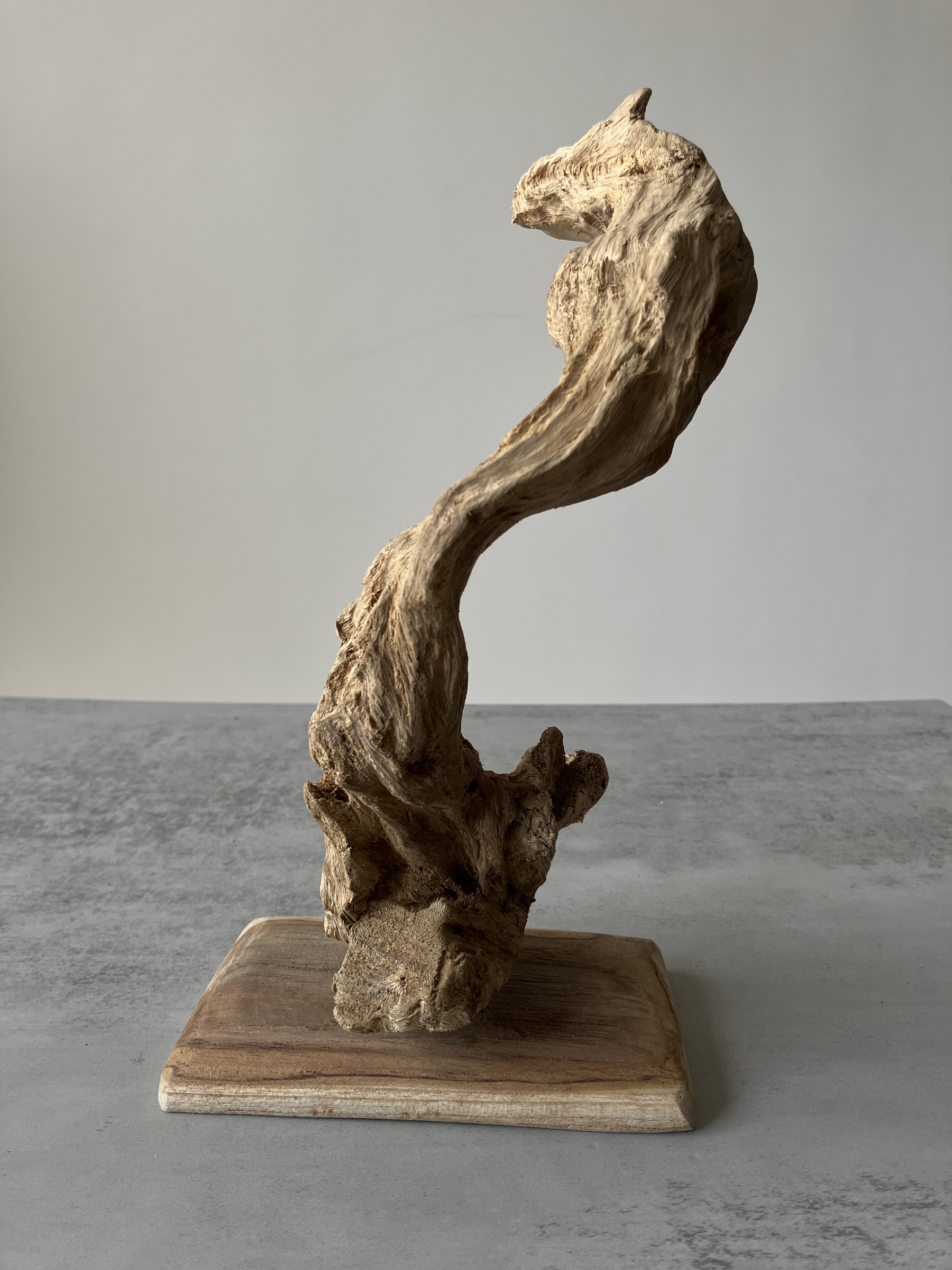 image_F00AB18F-20B4-4CDE-B239-7836C5A2B834_1751437493