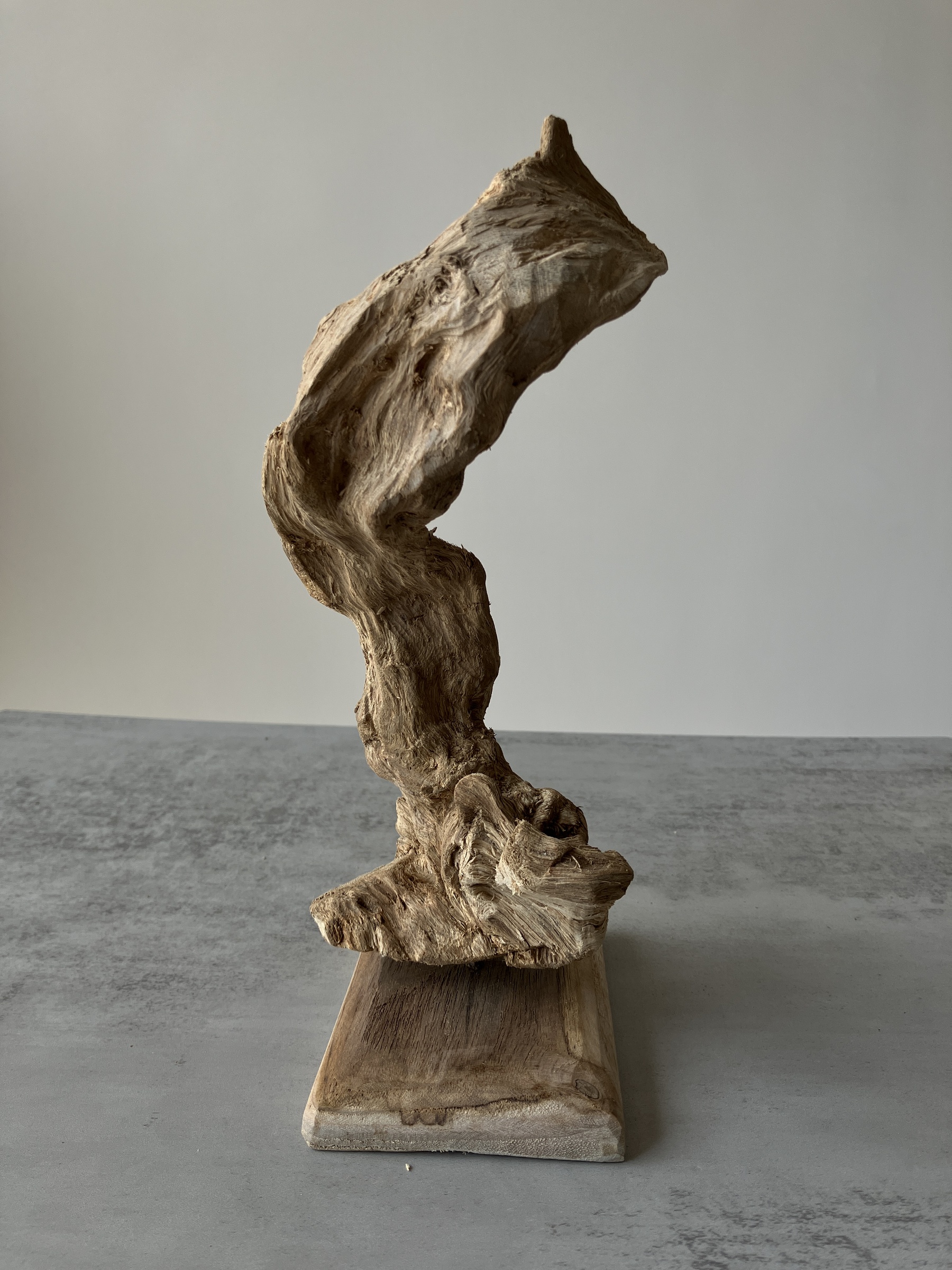 image_FA993899-D791-4391-9438-FF7063B75A46_1751437493