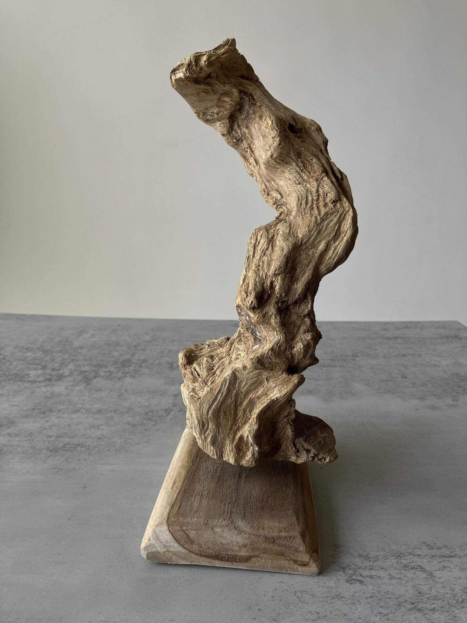 image_73043E88-93D1-4836-A03B-7A272A7AC273_1751437493