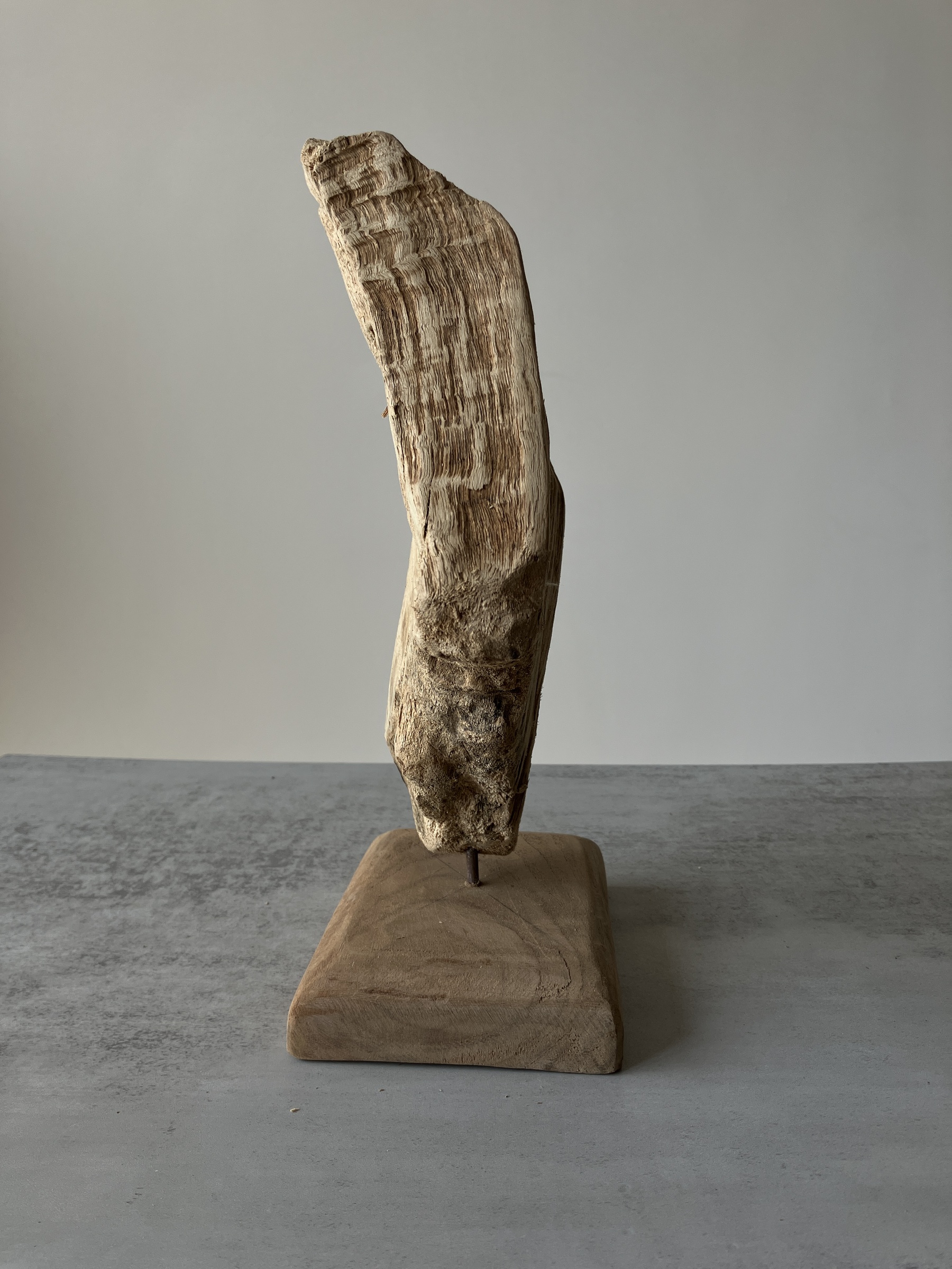 image_3C261948-14F1-4820-AE6A-948196F69AF8_1751438140