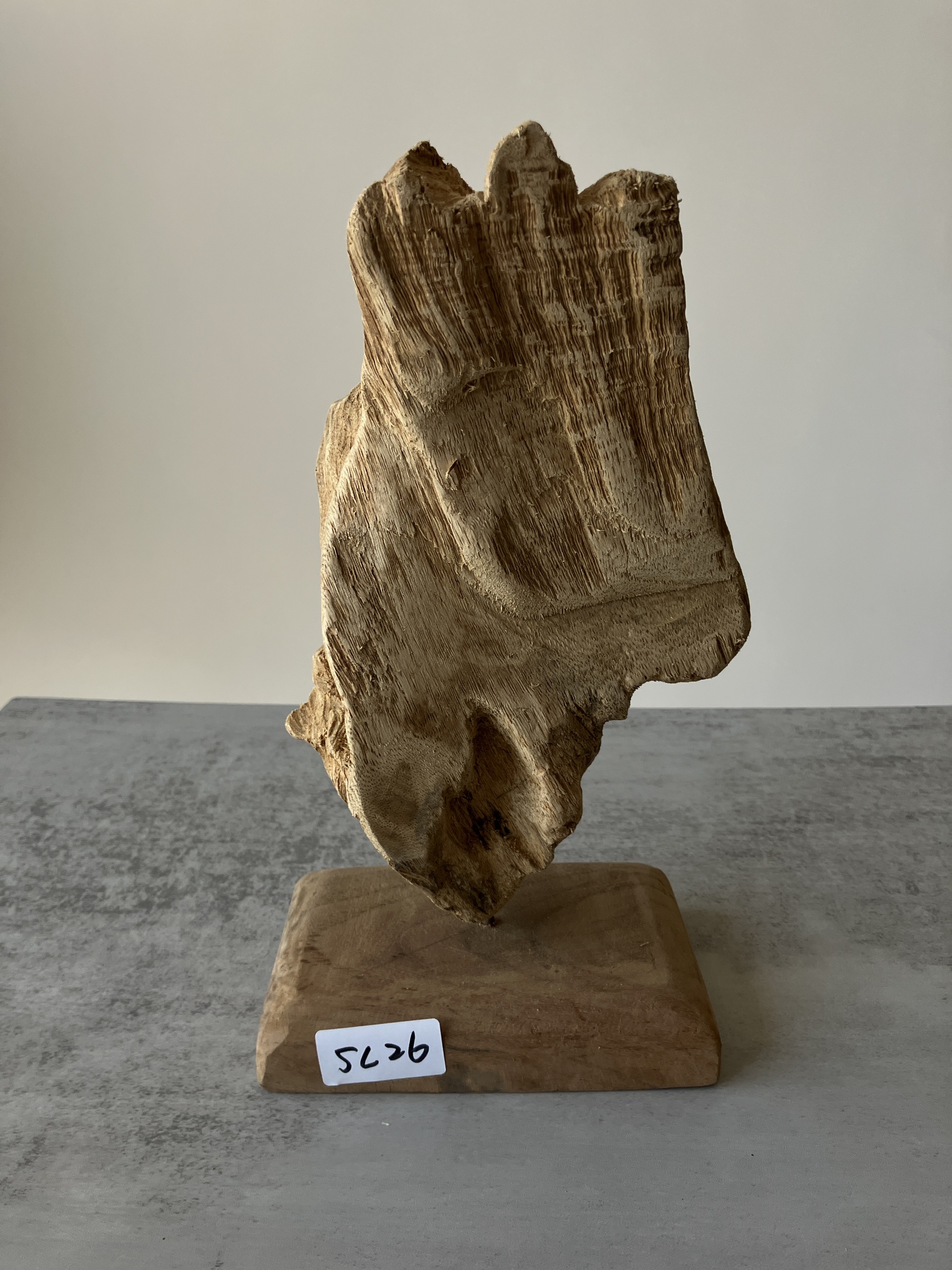 image_3CBA6122-4C6E-409C-9F5A-1C5D49038D93_1751438140