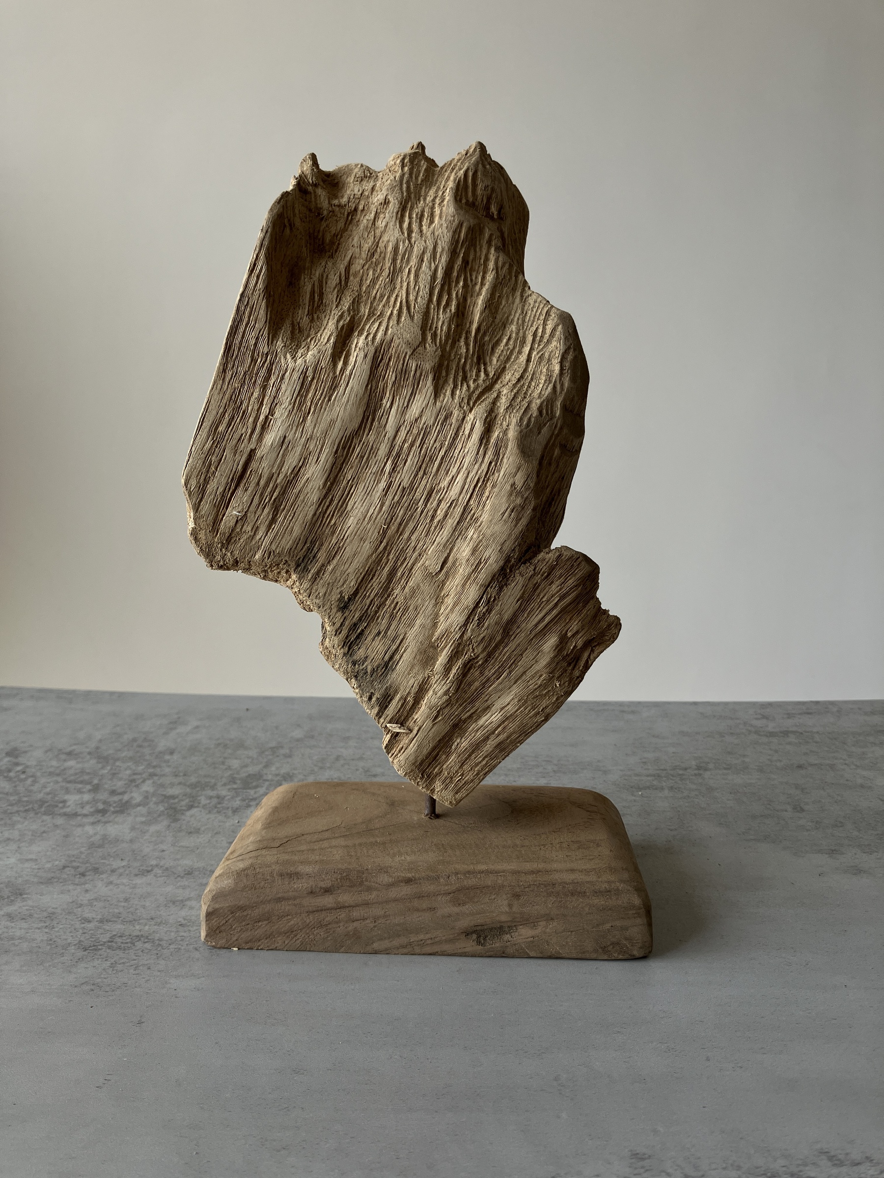 image_EE1135FC-B7A1-4A88-B82B-5A8D6C1F9D11_1751438140