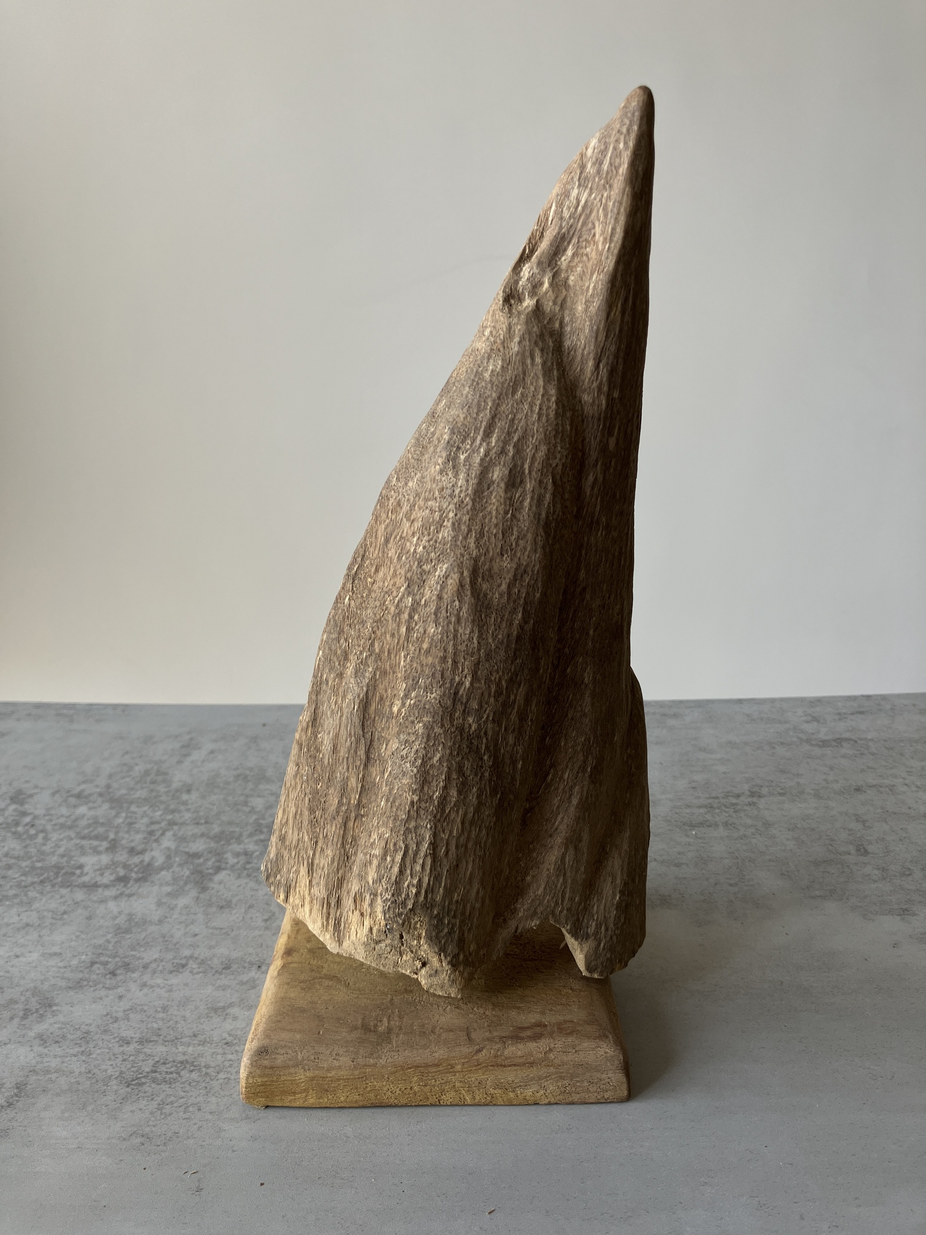 image_34673852-F614-4F25-8B3F-D6EDC6F41E24_1751438392