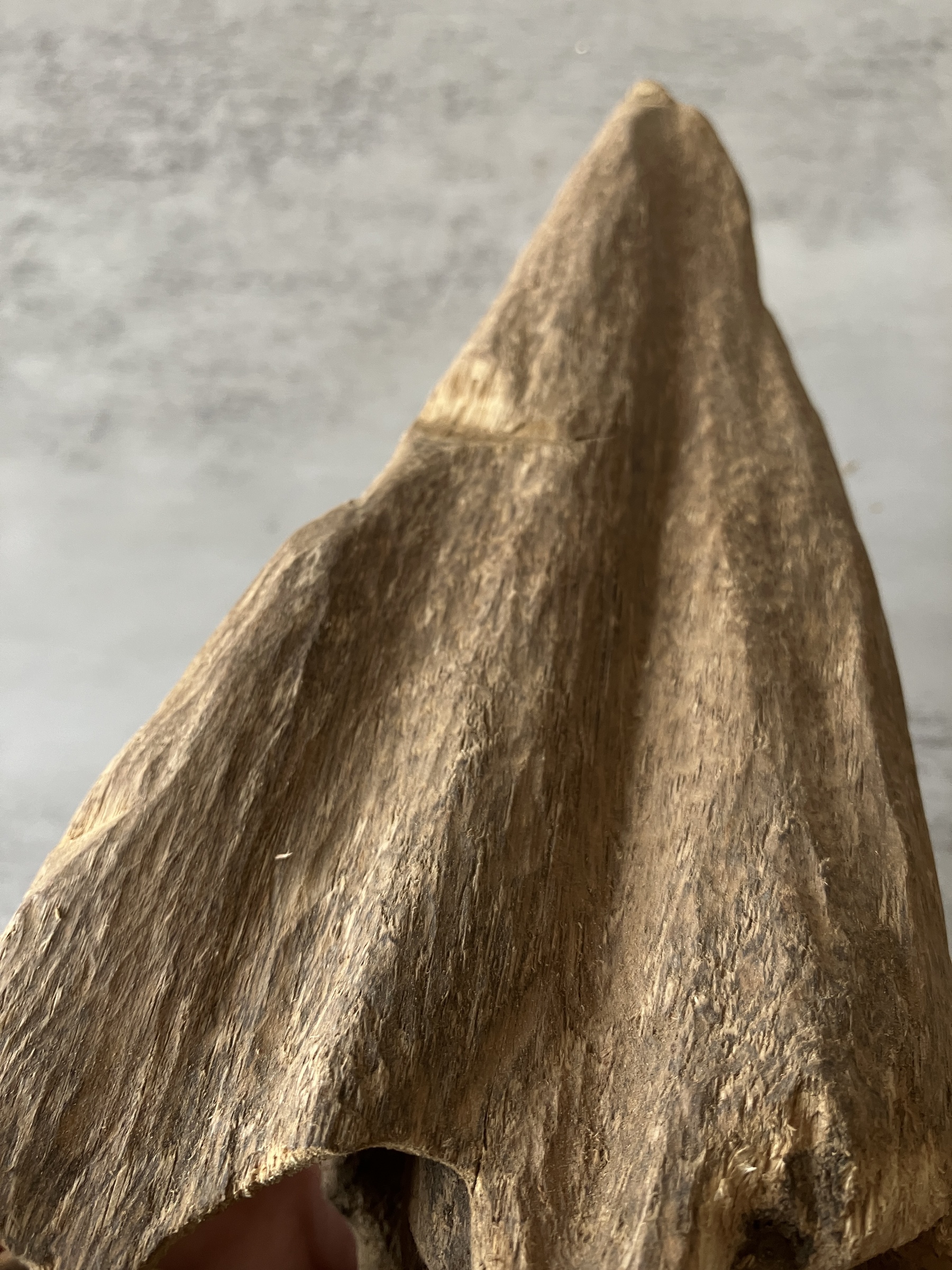 image_FB4653E5-FD89-4AAB-A1BC-61CF2D55BCEB_1751438392