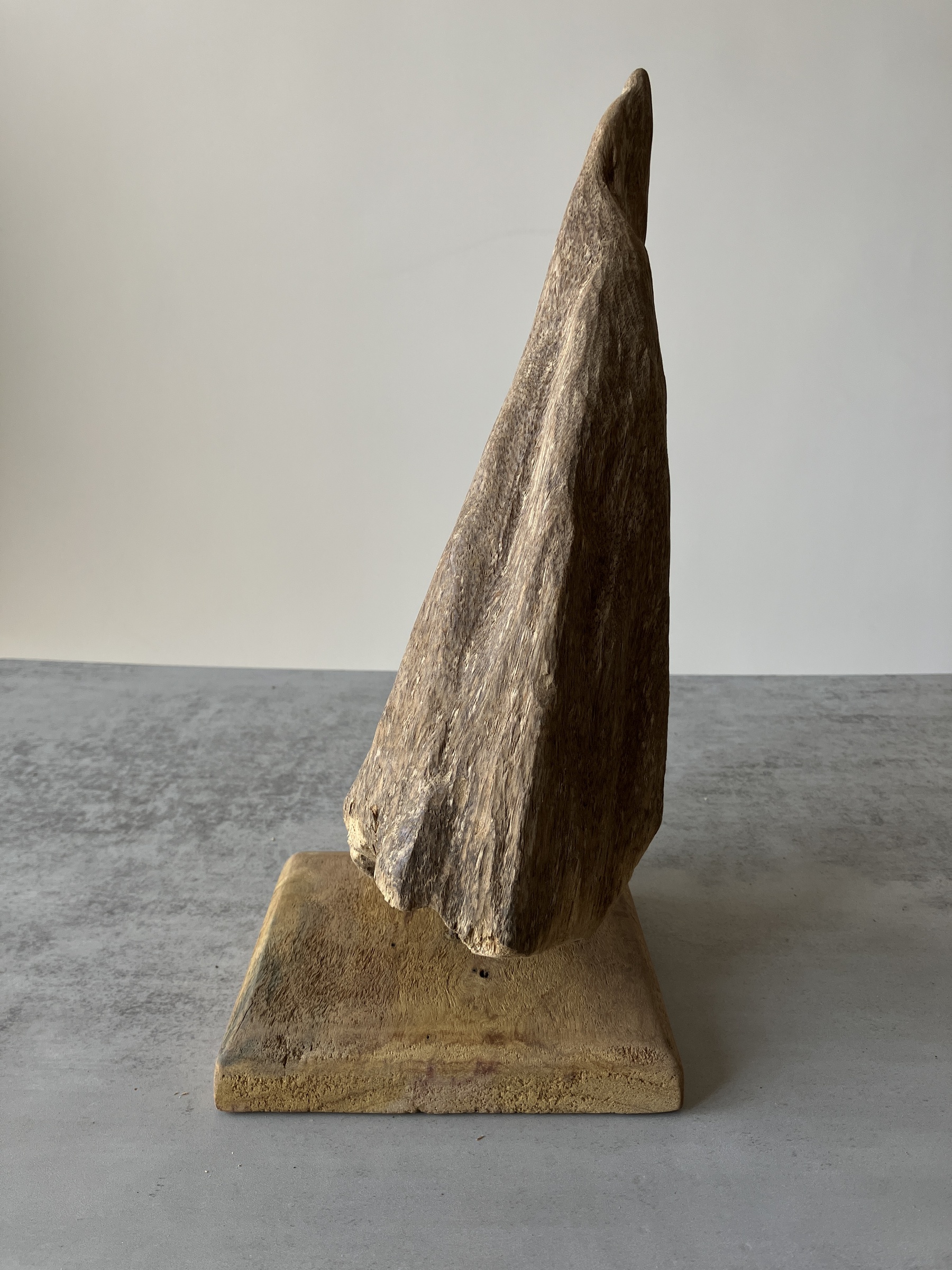 image_5E92E9CE-678E-410D-914D-69D74D88DD23_1751438392