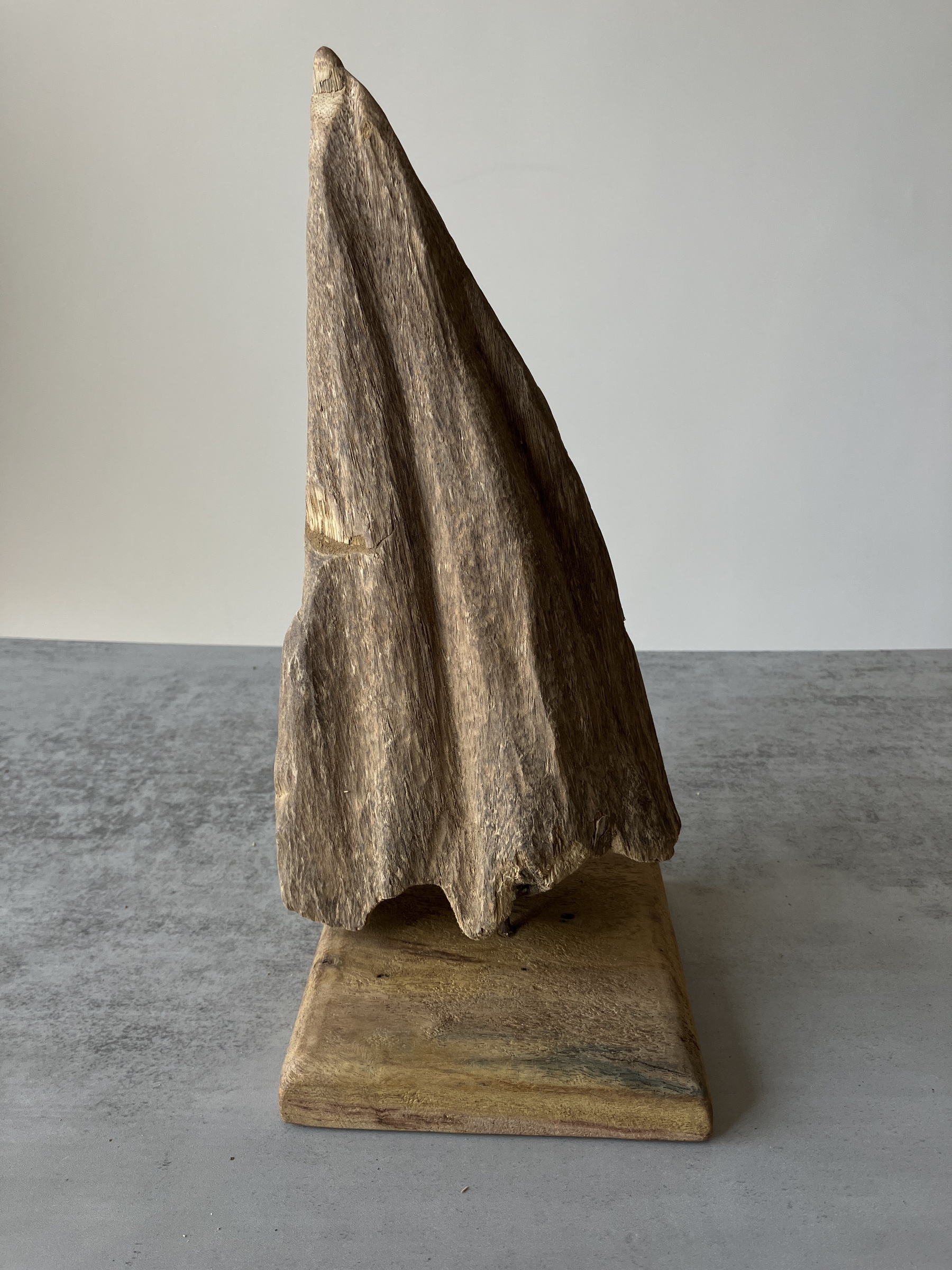 image_DCC81C4A-4B22-4080-A645-CDDF4F25C47B_1751438392