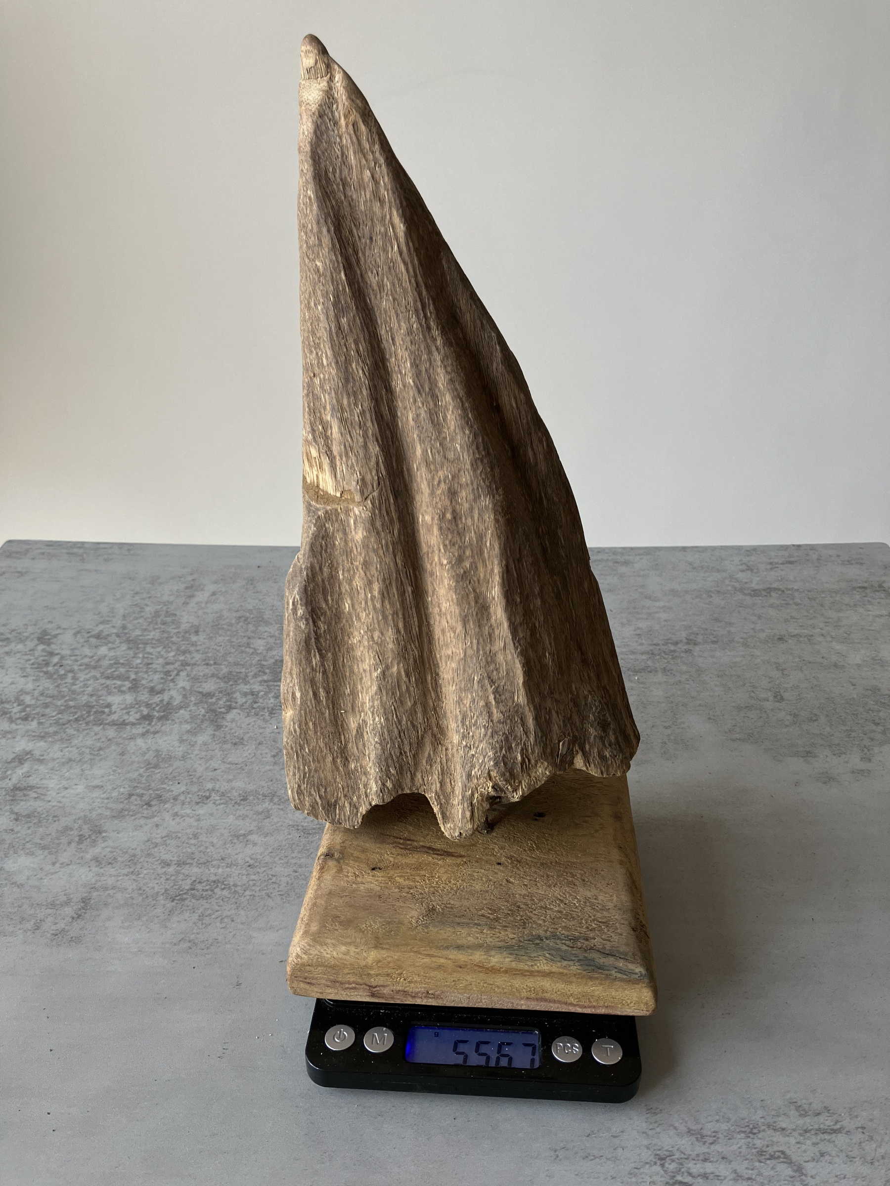 image_F98EF055-88C2-4013-B833-8C345ABF673C_1751438392