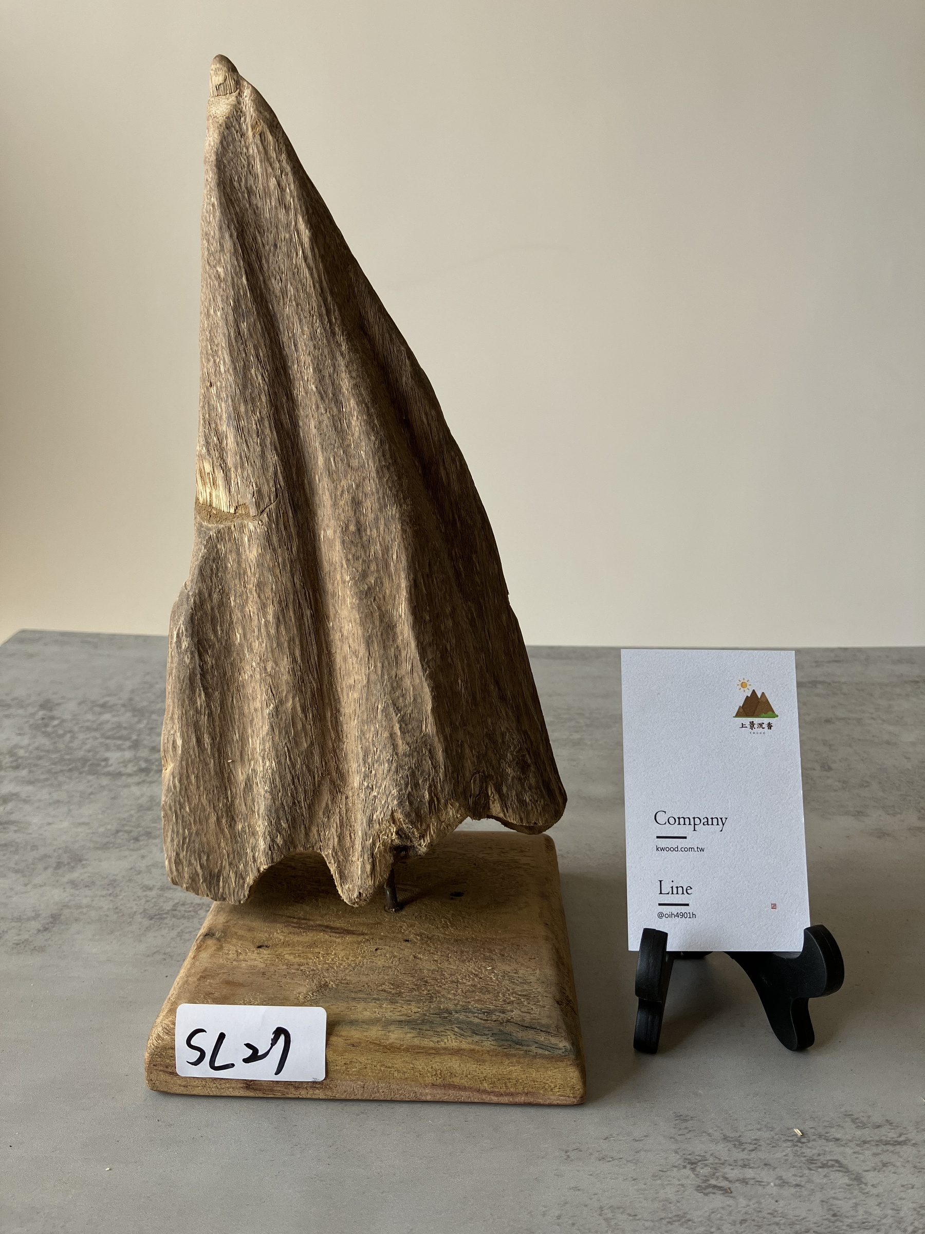 image_8E9FDD63-FFAA-46C6-934C-345C803071CA_1751438392