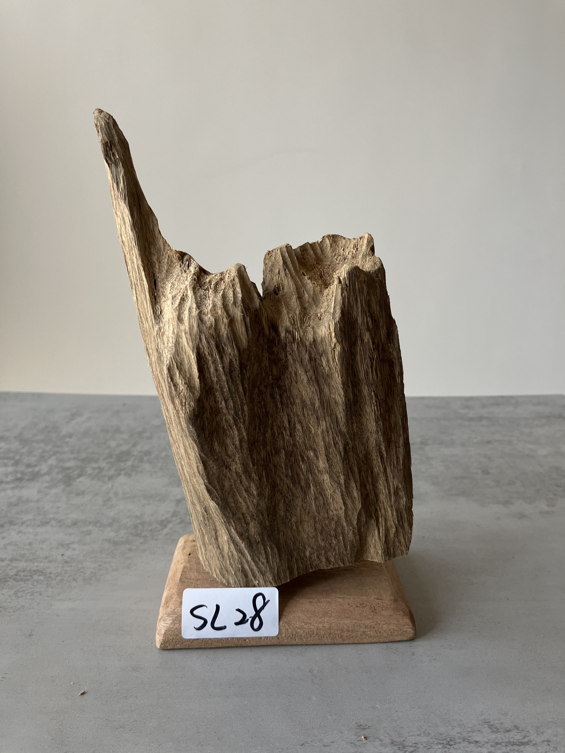 image_CEE390C4-FCCA-4036-9EAC-16D89E90ACB4_1751438541