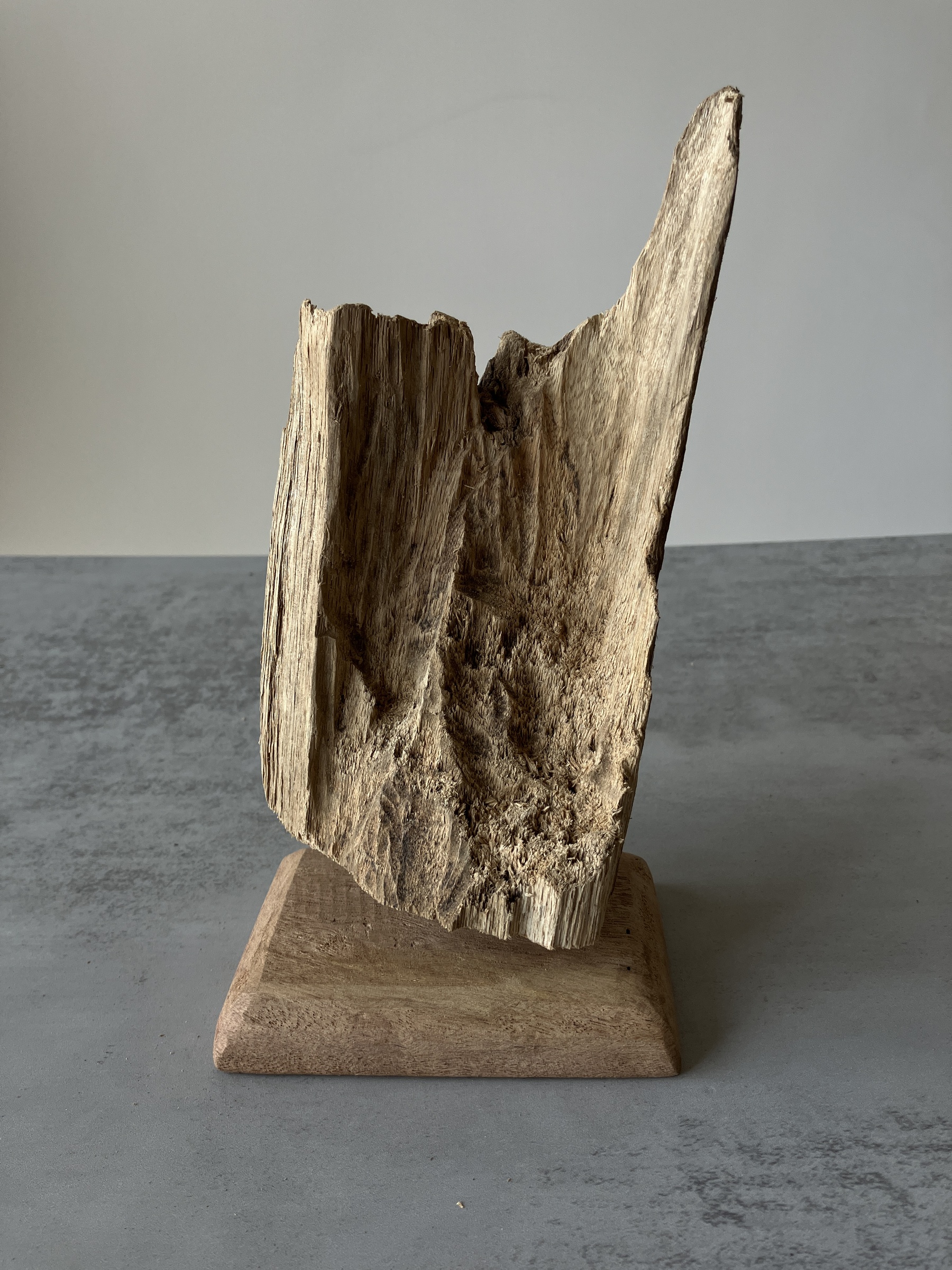 image_6D0F50F7-3947-4415-A030-FC79976F2235_1751438541